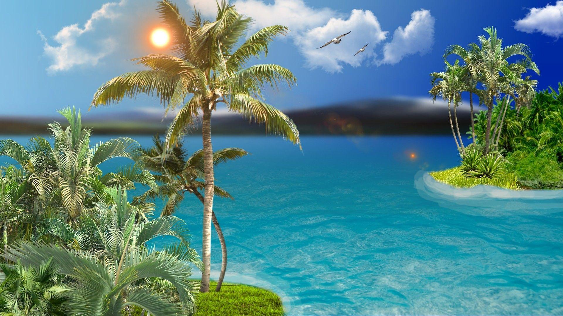 Oceans: Islands Sun Coconut Trees Ocean Clouds Landscape Nature Dual