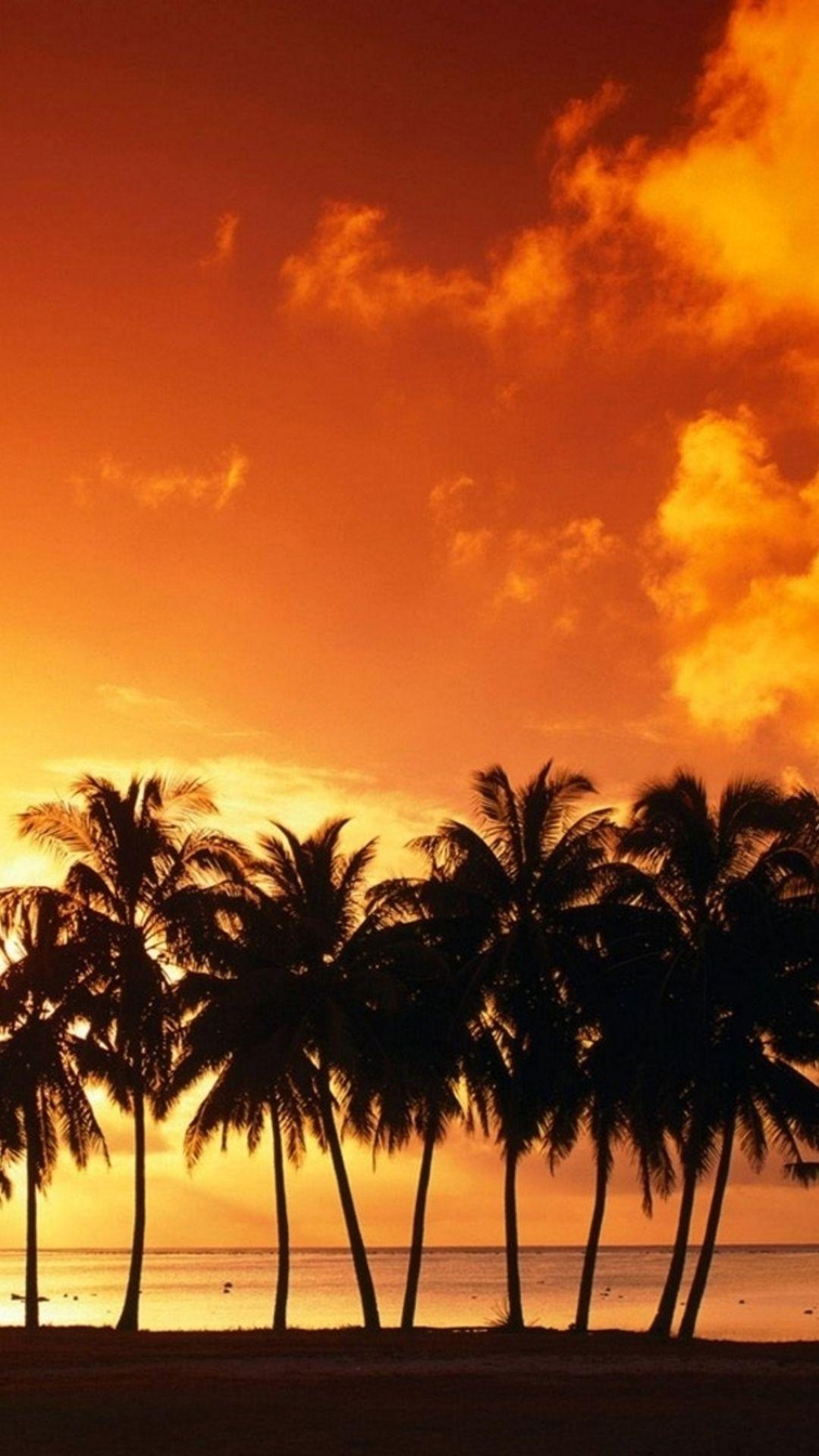 Sunset coconut trees 3 Galaxy S5 Wallpaper