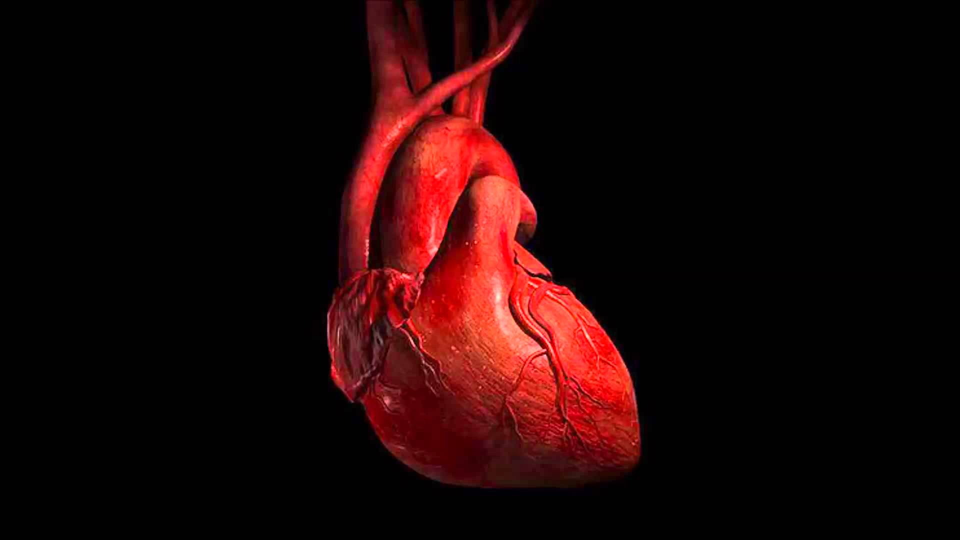 My Heartbeat BPM for fifteen minutes! (tachycardia)