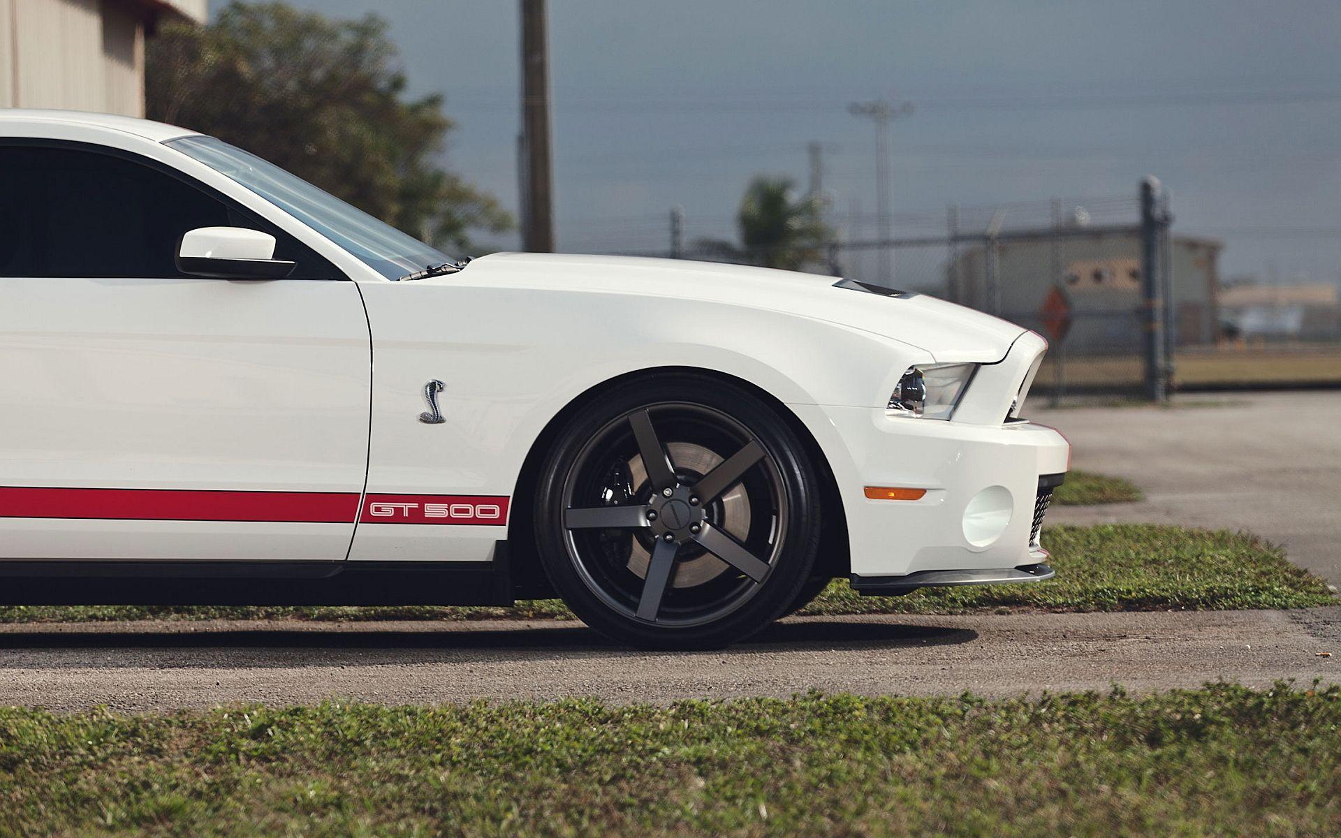 Ford mustang gt500 shelby