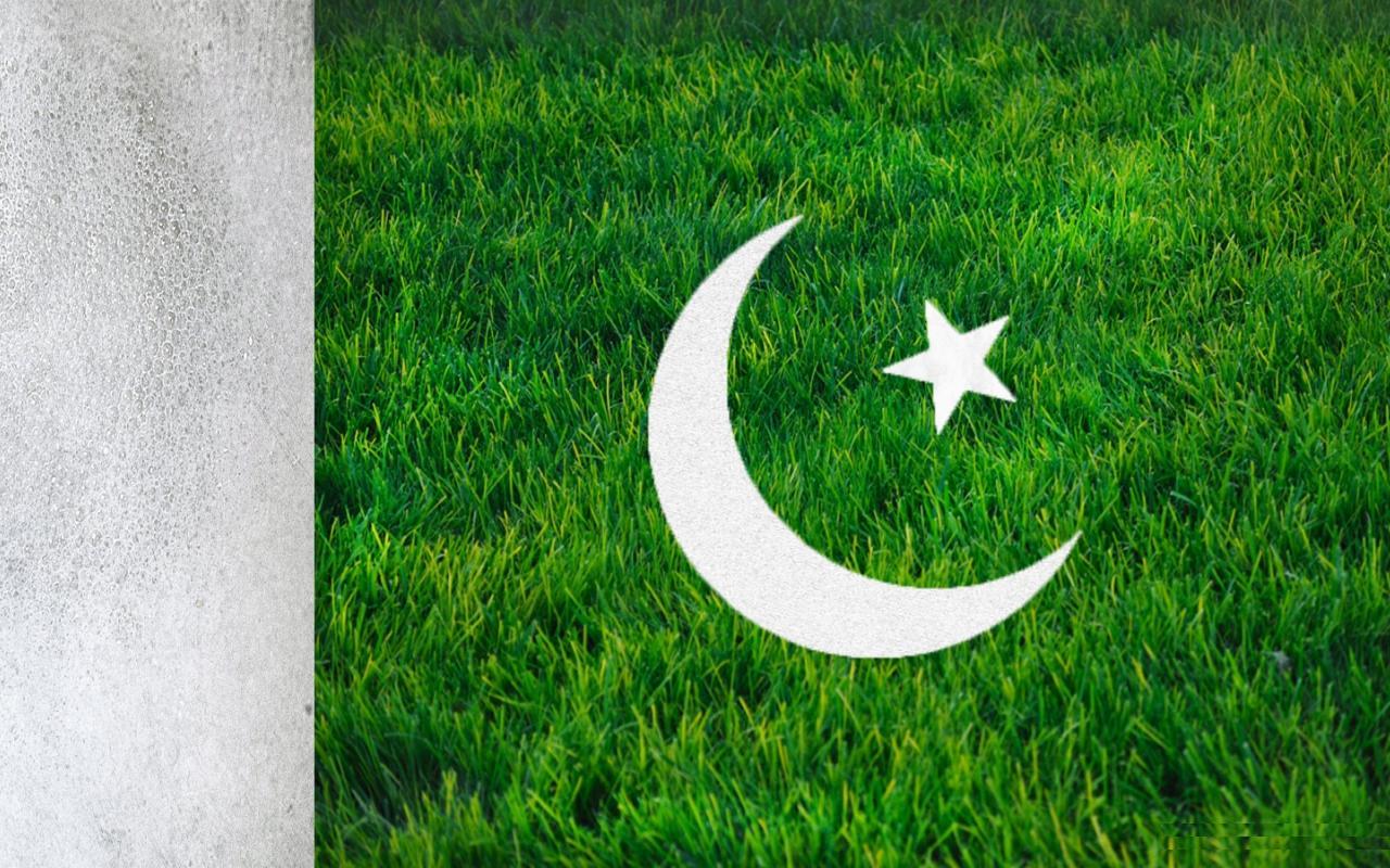 Spices Girls Pictures: Beautiful Pakistani Flag On Green Grass.
