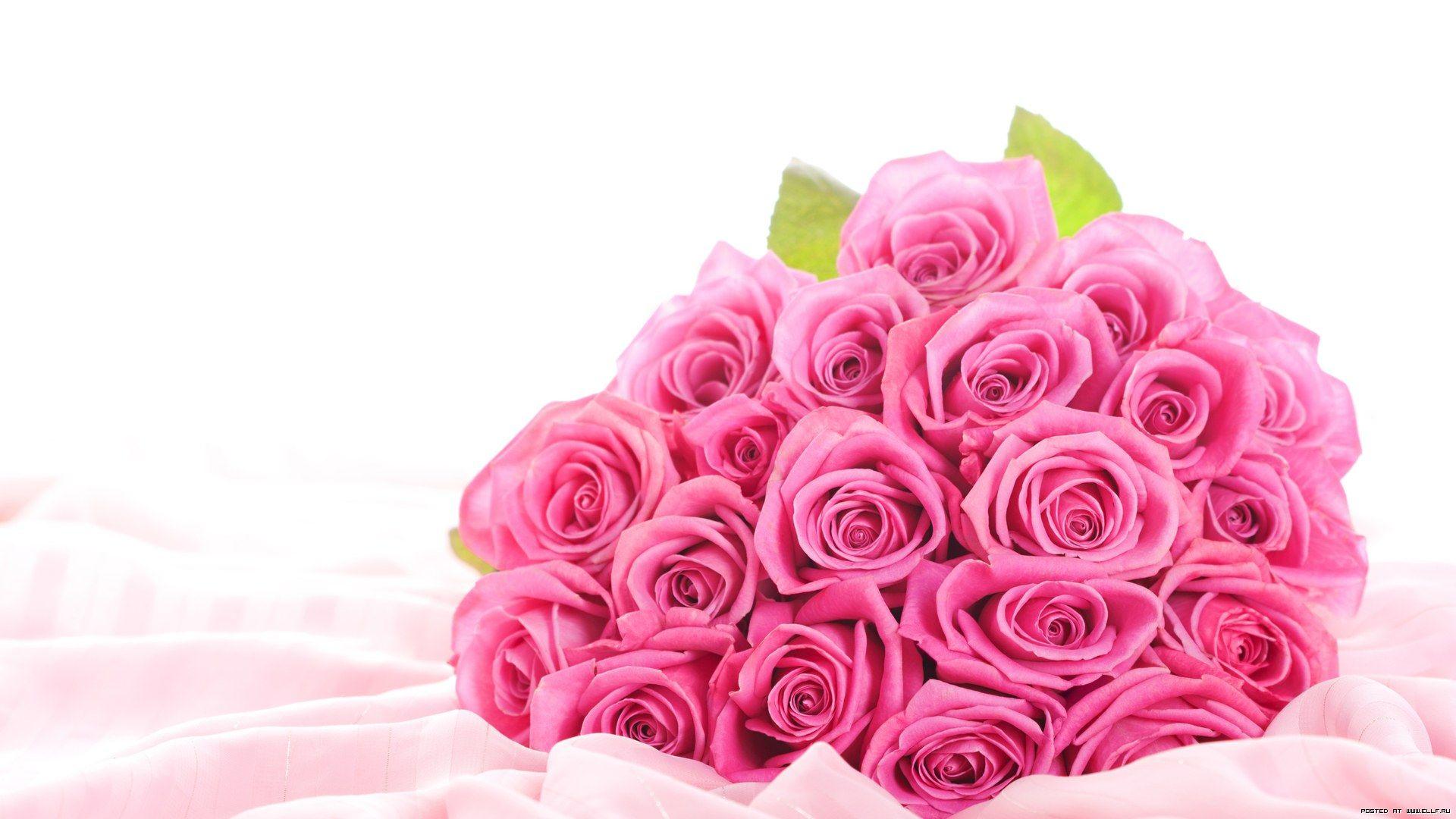 Wallpapers Flowers Roses - Wallpaper Cave