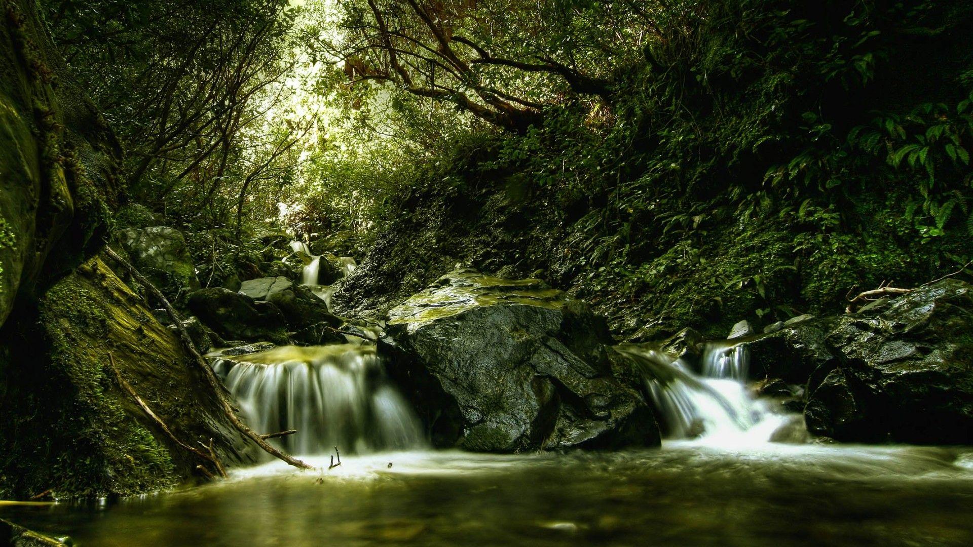 Beautiful Background for Computer