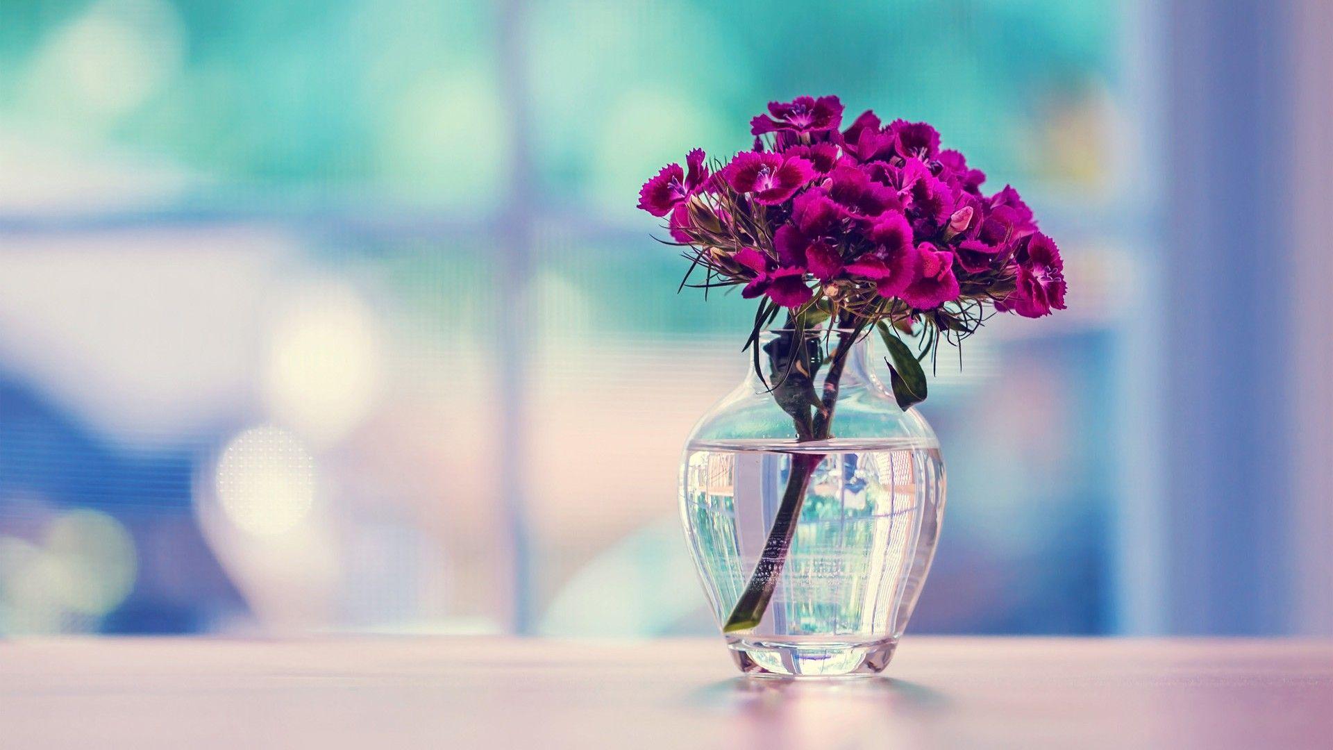 beautiful wallpaper