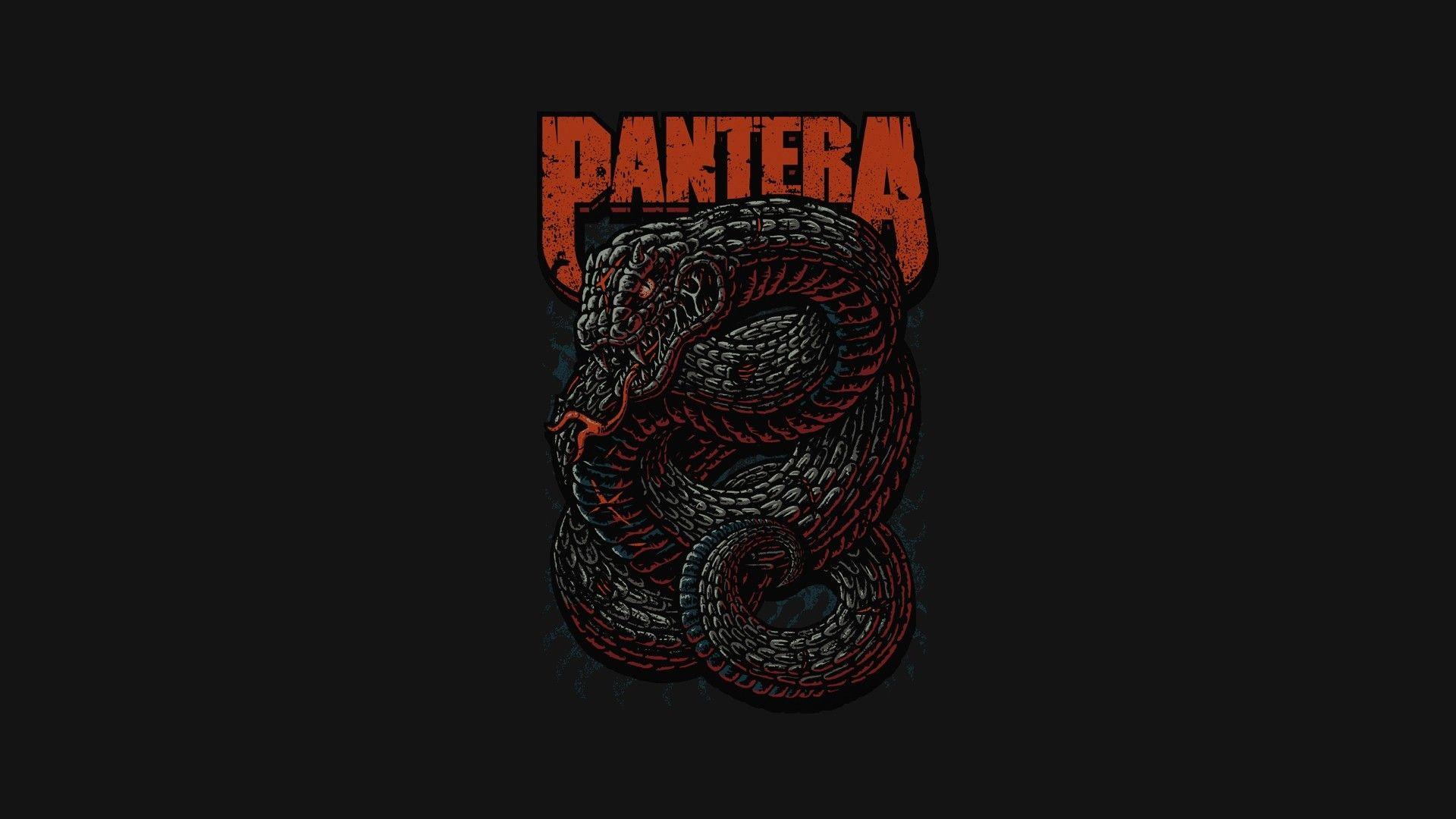 thrash metal, Pantera, music, heavy metal, snake