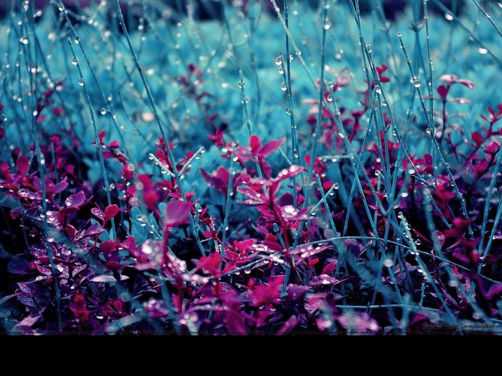 Rain Season of Pakistan