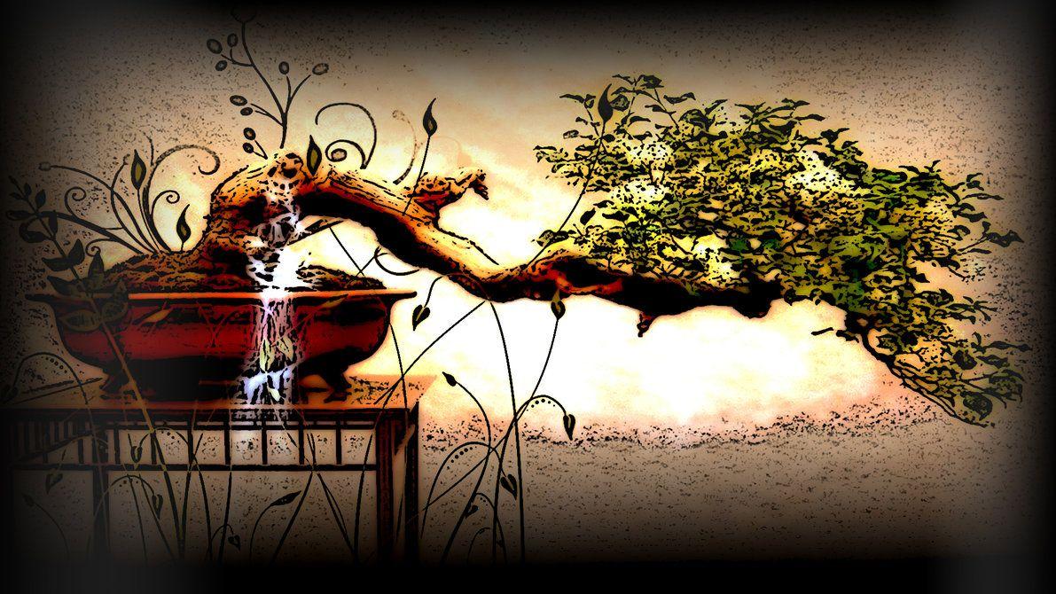 Bonsai Tree Wallpaper