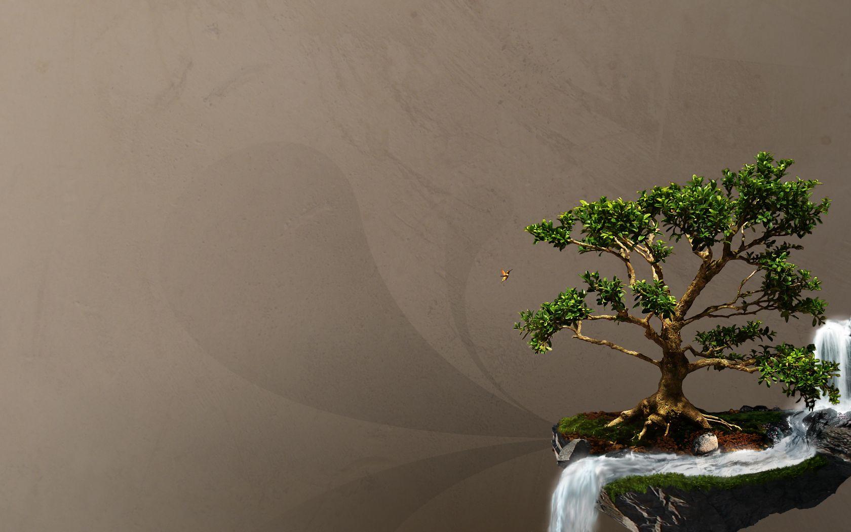 43+ Bonsai Tree Wallpaper 4K Images