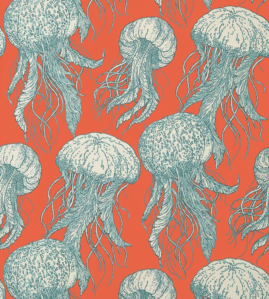 Jelly Fish Bloom Wallpaper