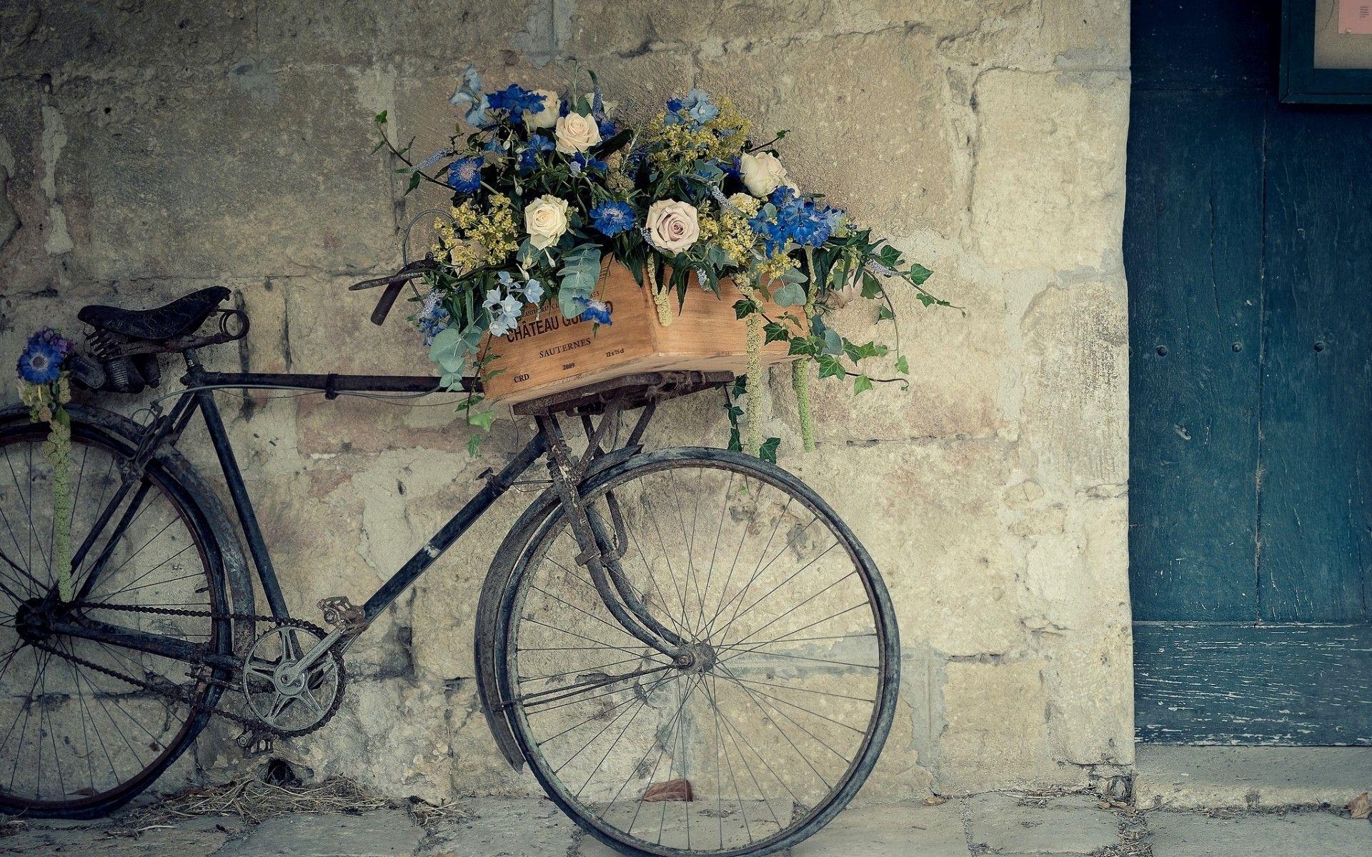 Vintage Bicyc HD Wallpaper, Background Image