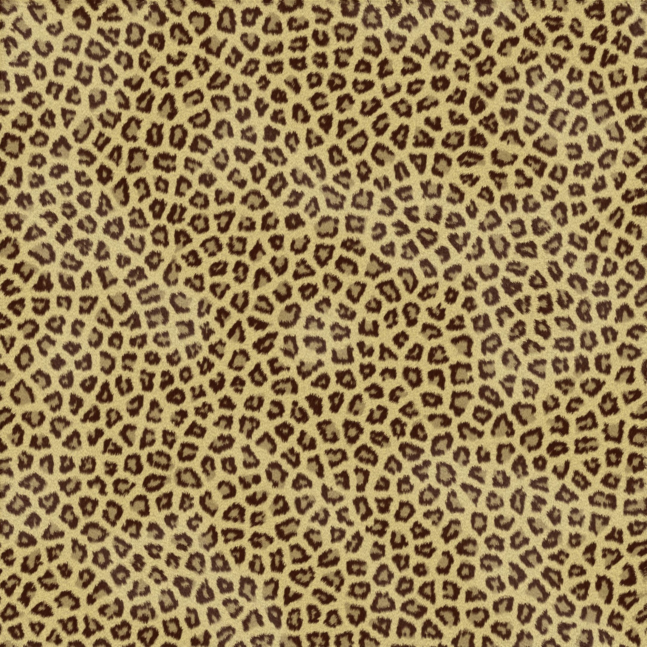 Decor: Cheetah Print Background. Animal Print Desktop Wallpaper