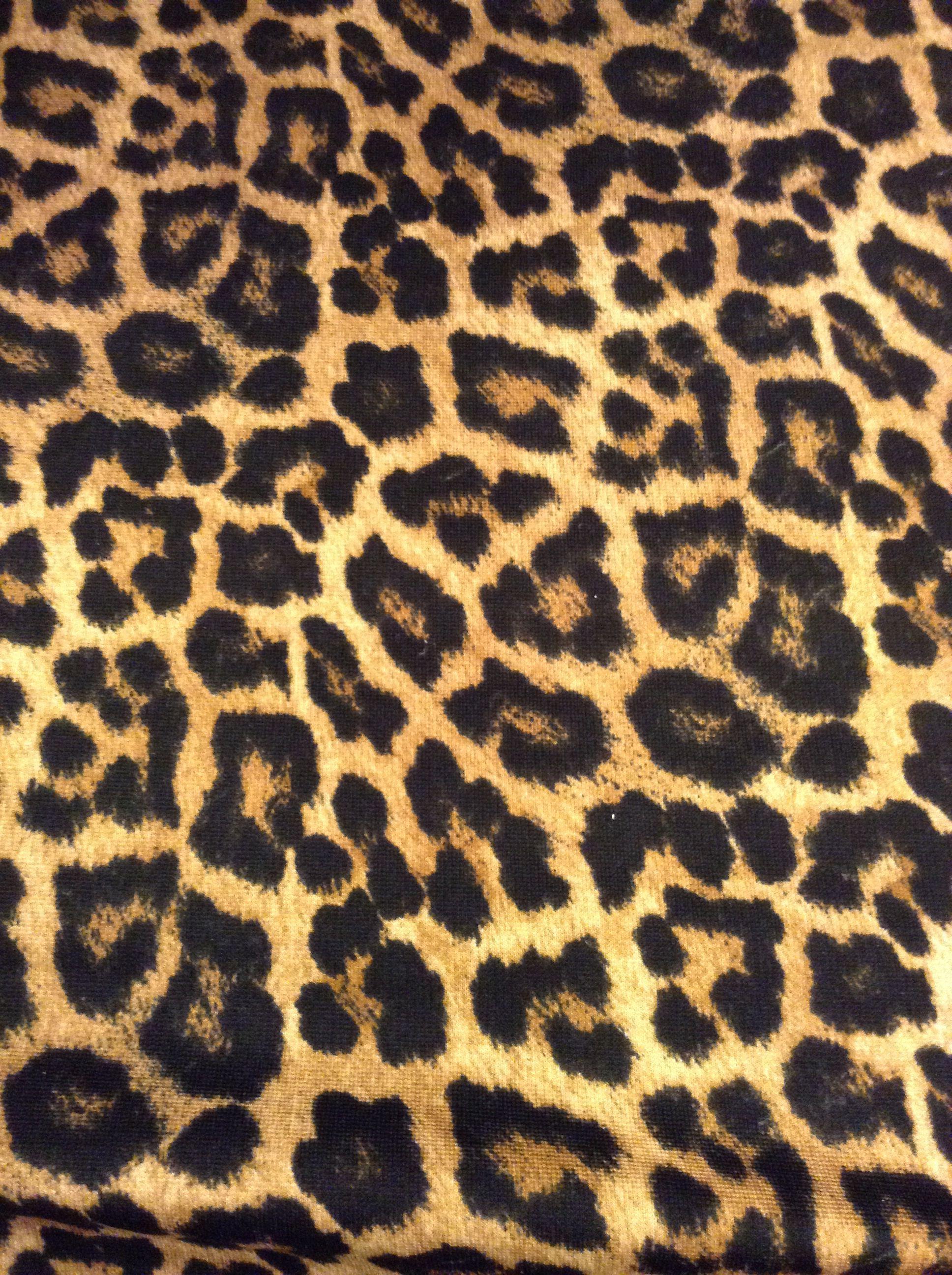 Pattern. Leopard print wallpaper, Zebra print wallpaper, Animal print wallpaper