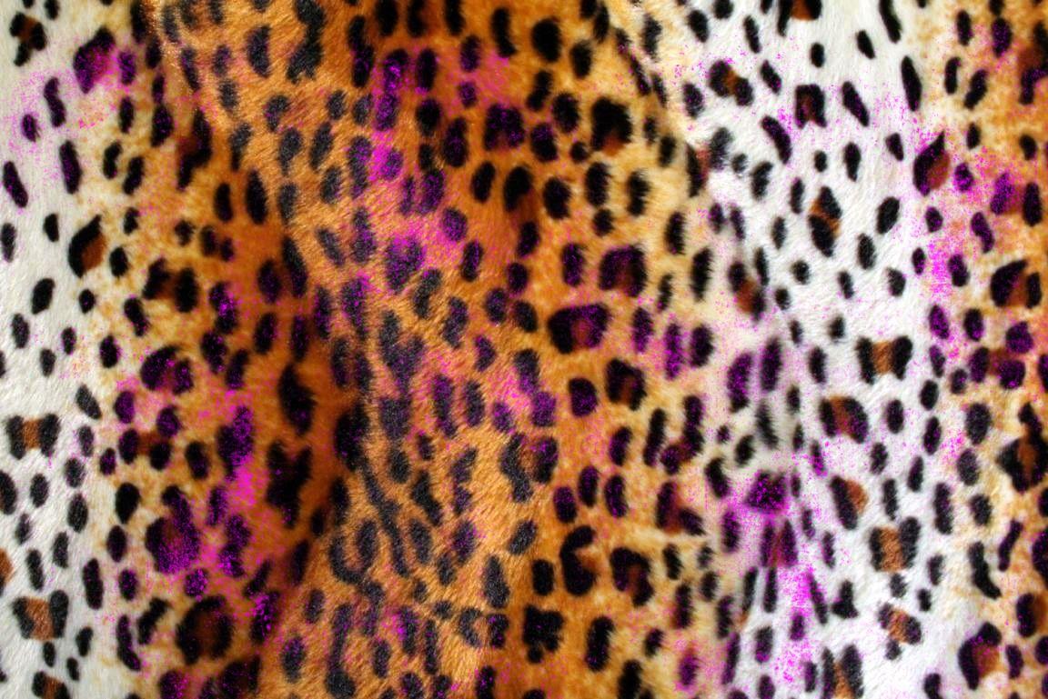 Cheetah print background for tumblr