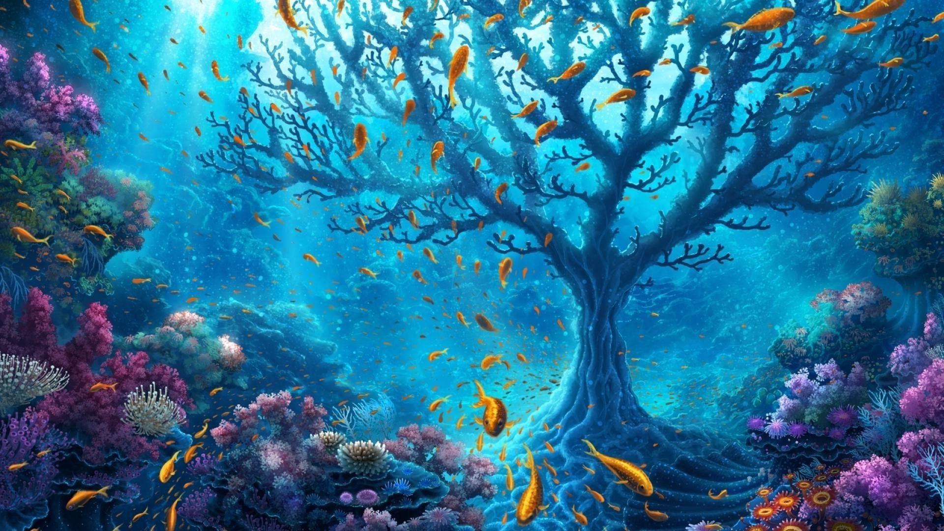 Underwater World 1440P Resolution HD 4k Wallpaper, Image