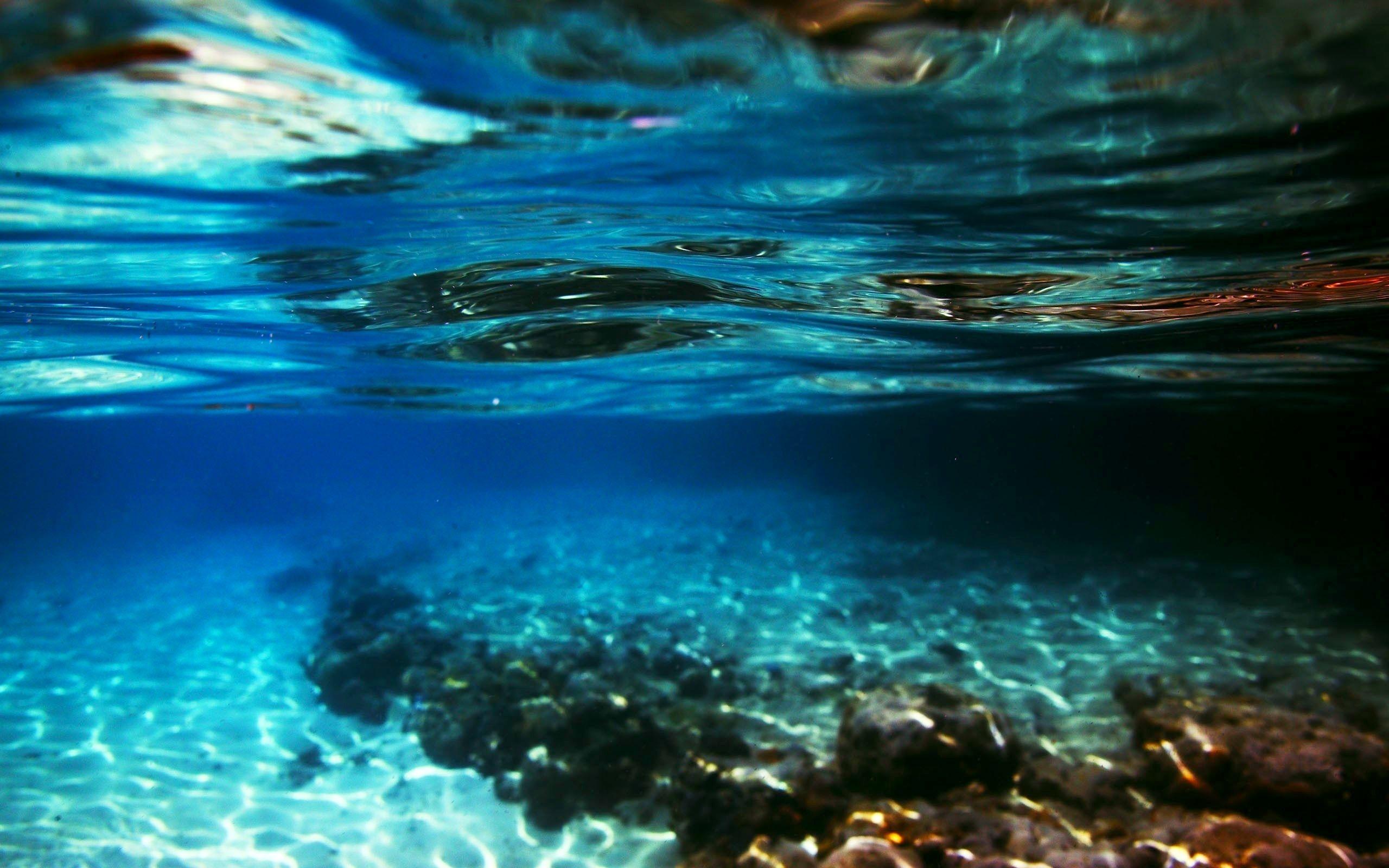 Underwater Wide Desktop Background
