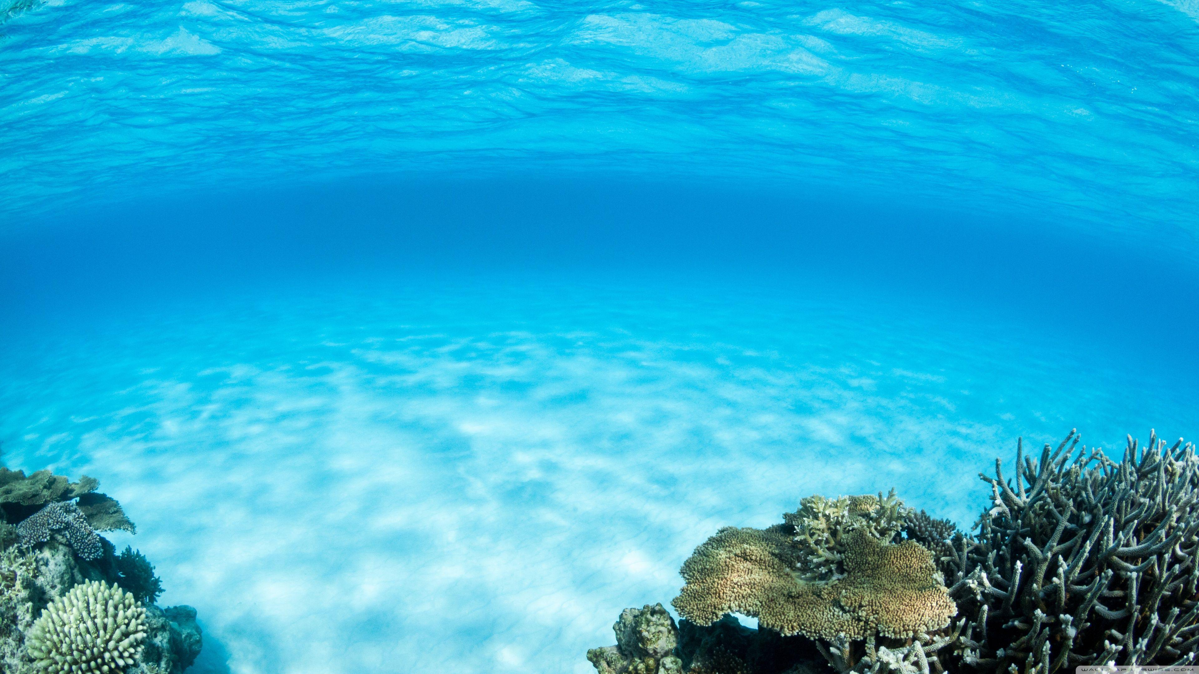 Underwater, Summer ❤ 4K HD Desktop Wallpaper for 4K Ultra HD TV