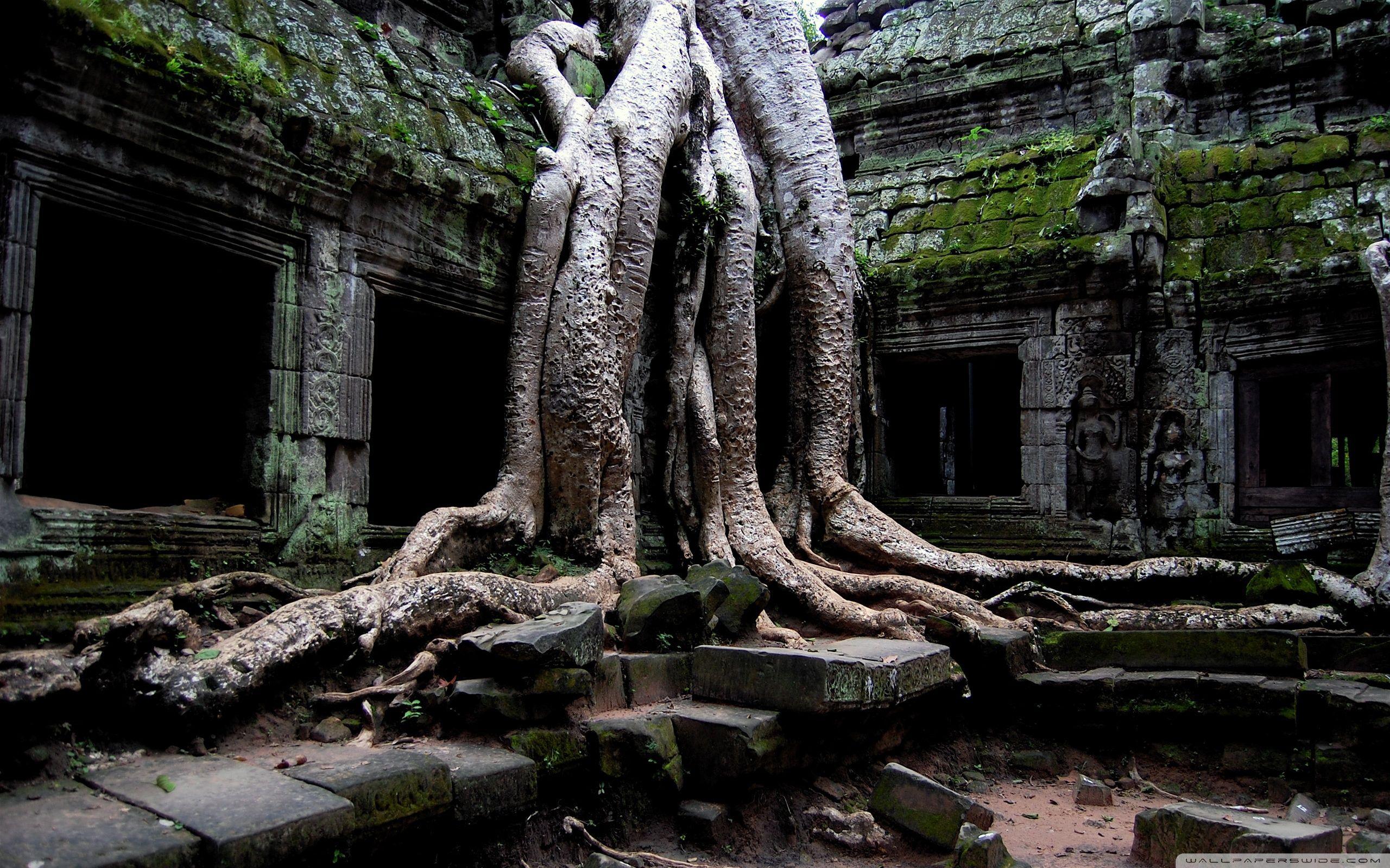 Angkor Wat Temple, Cambodia ❤ 4K HD Desktop Wallpaper for 4K Ultra