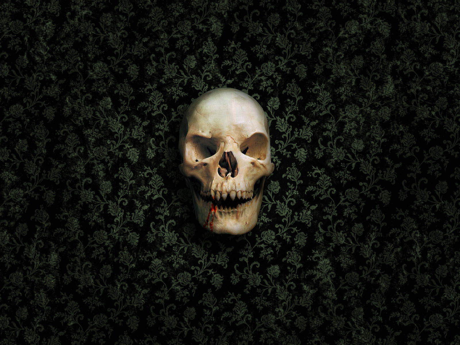 Love Wallpaper: Gambar Gambar Tengkorak Seram