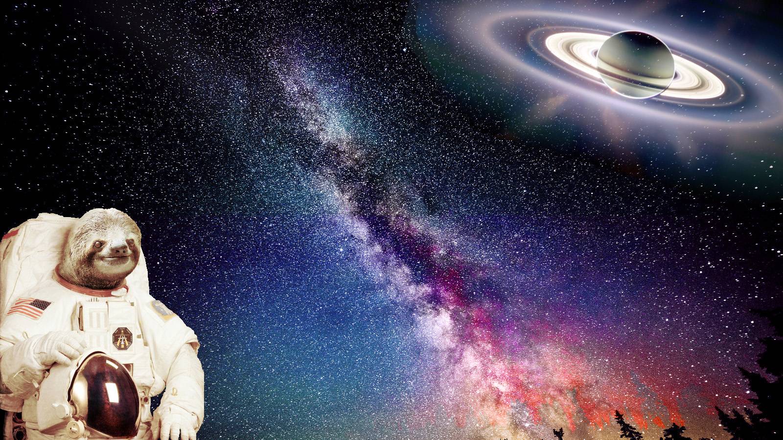 Sloths in Space: Wallpaper Edition