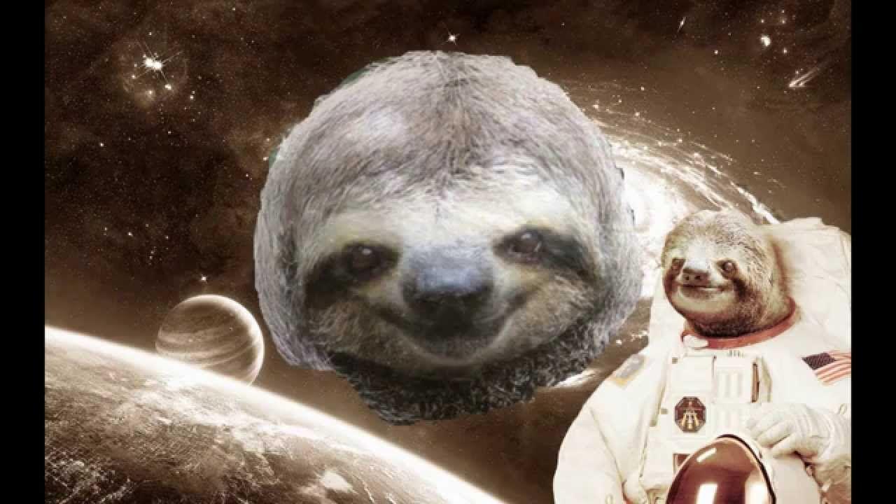 A real life documentation of Space Sloths HD