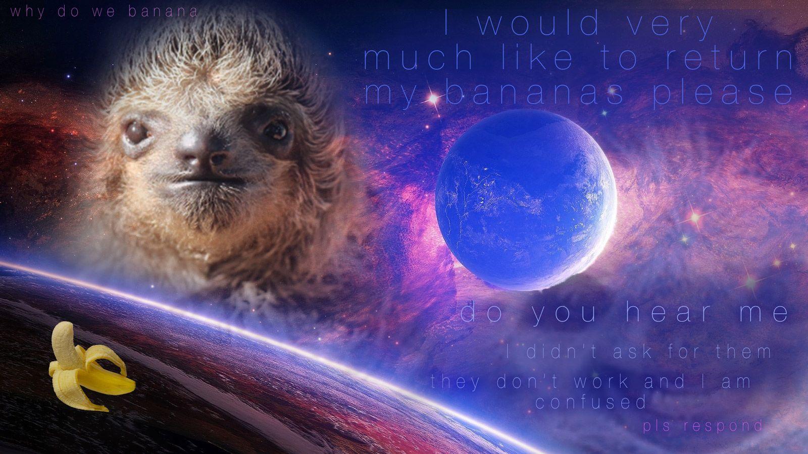 Space sloth vague whelk