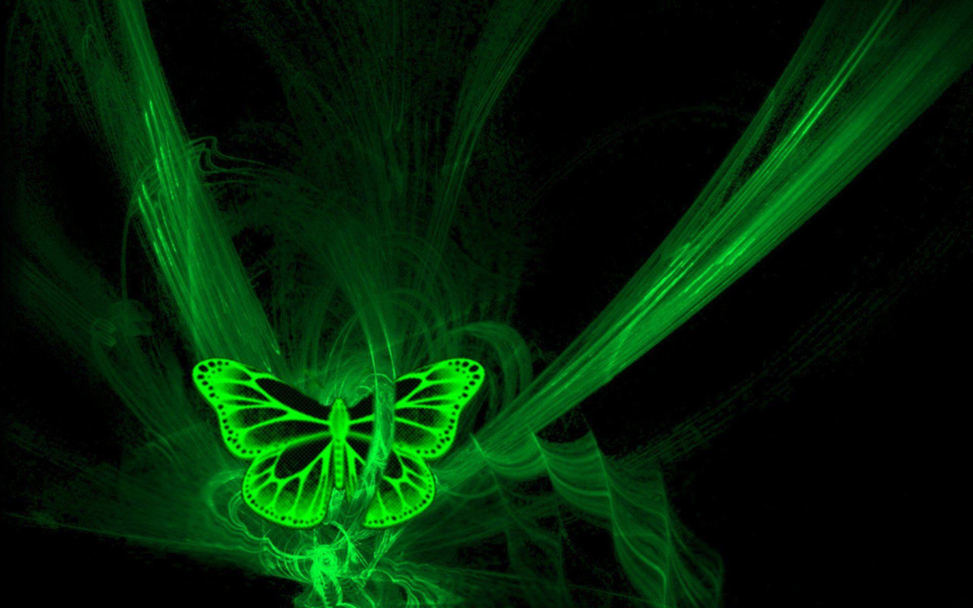 Neon Green Butterfly 909253
