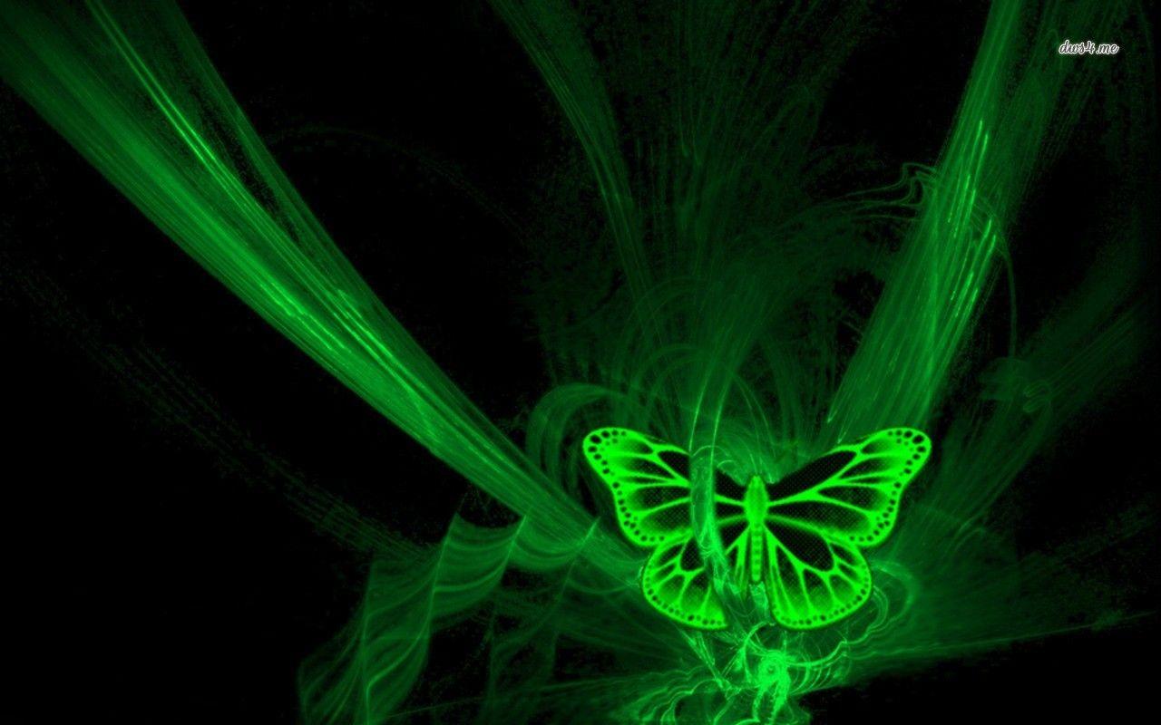 Fluorescent green butterfly wallpapers