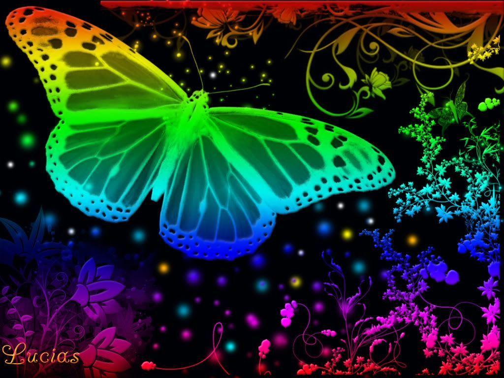 Rainbow butterfly  Rainbow butterflies Butterfly wallpaper Blue butterfly  wallpaper
