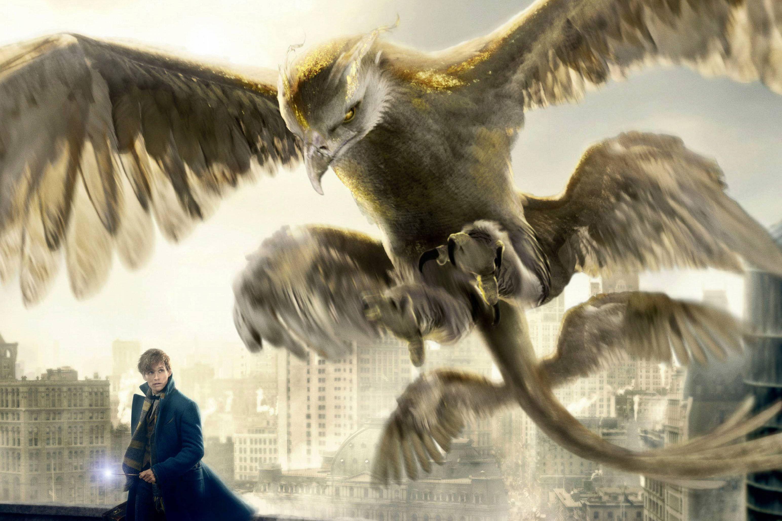 Fantastic Beasts And Where To Find Them Wallpaper, Image