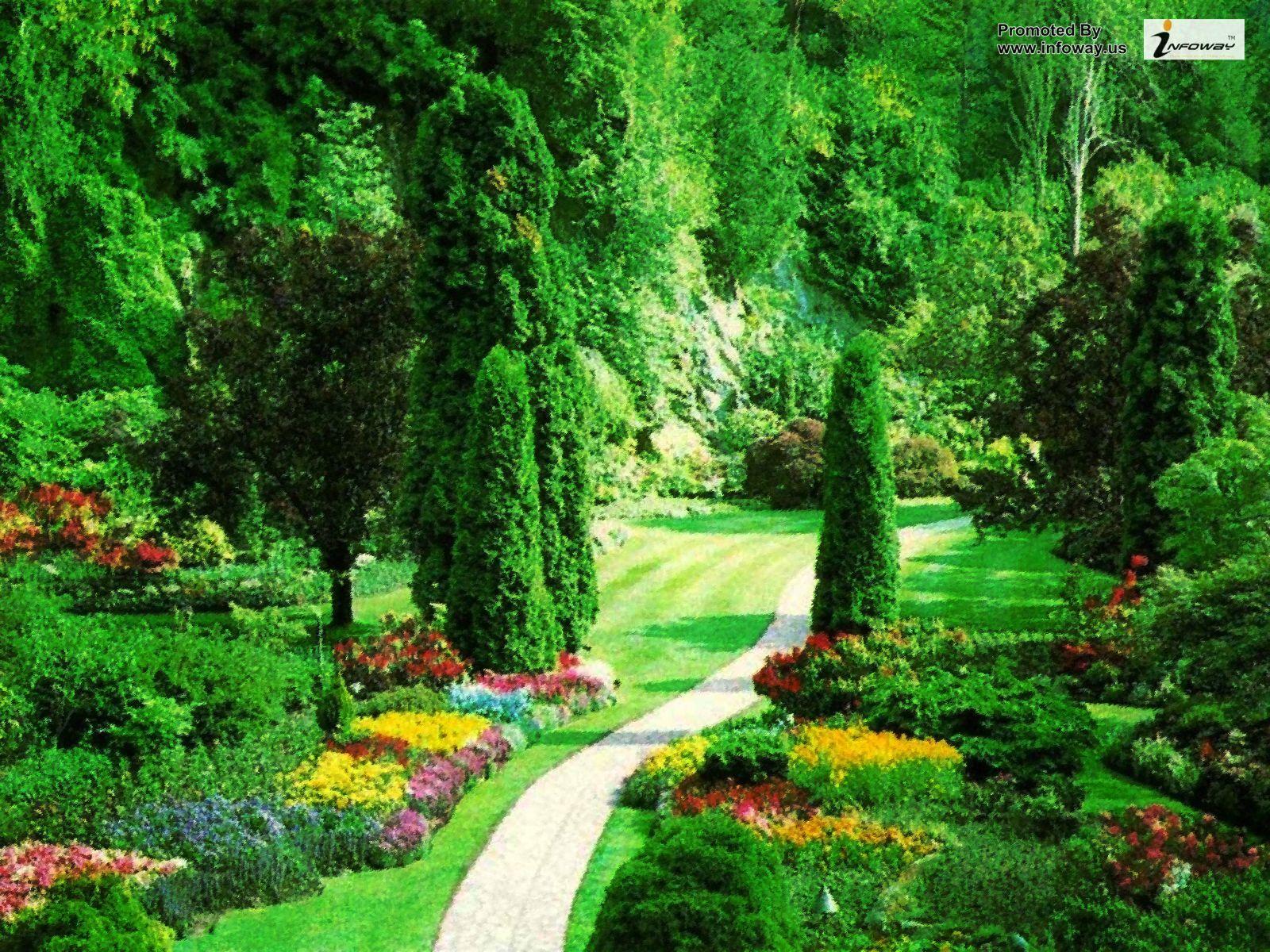 Most Beautiful Nature Scenery World HD Wallpaper, Background Image