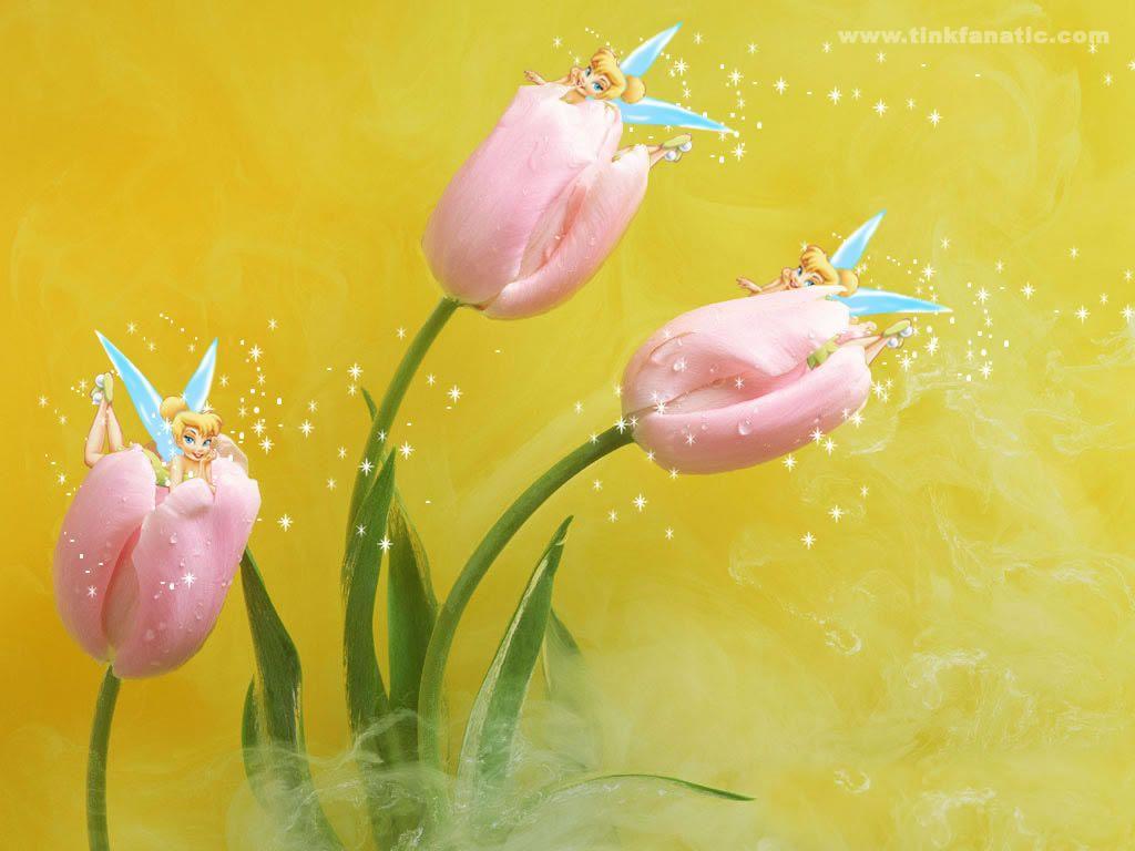 Tinkerbell Background 13