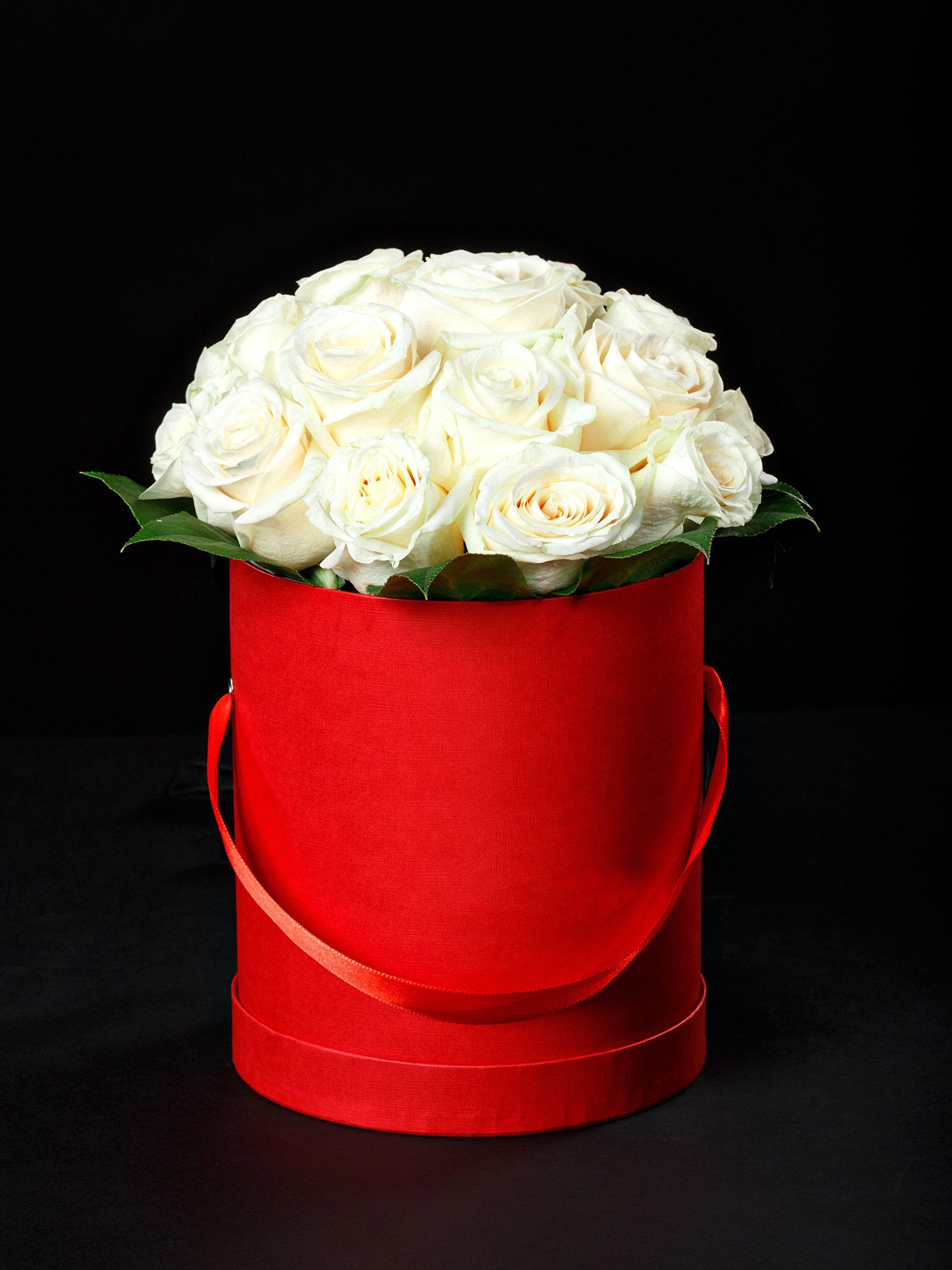 Picture Bouquets White Roses Flowers Black background 2048x2732