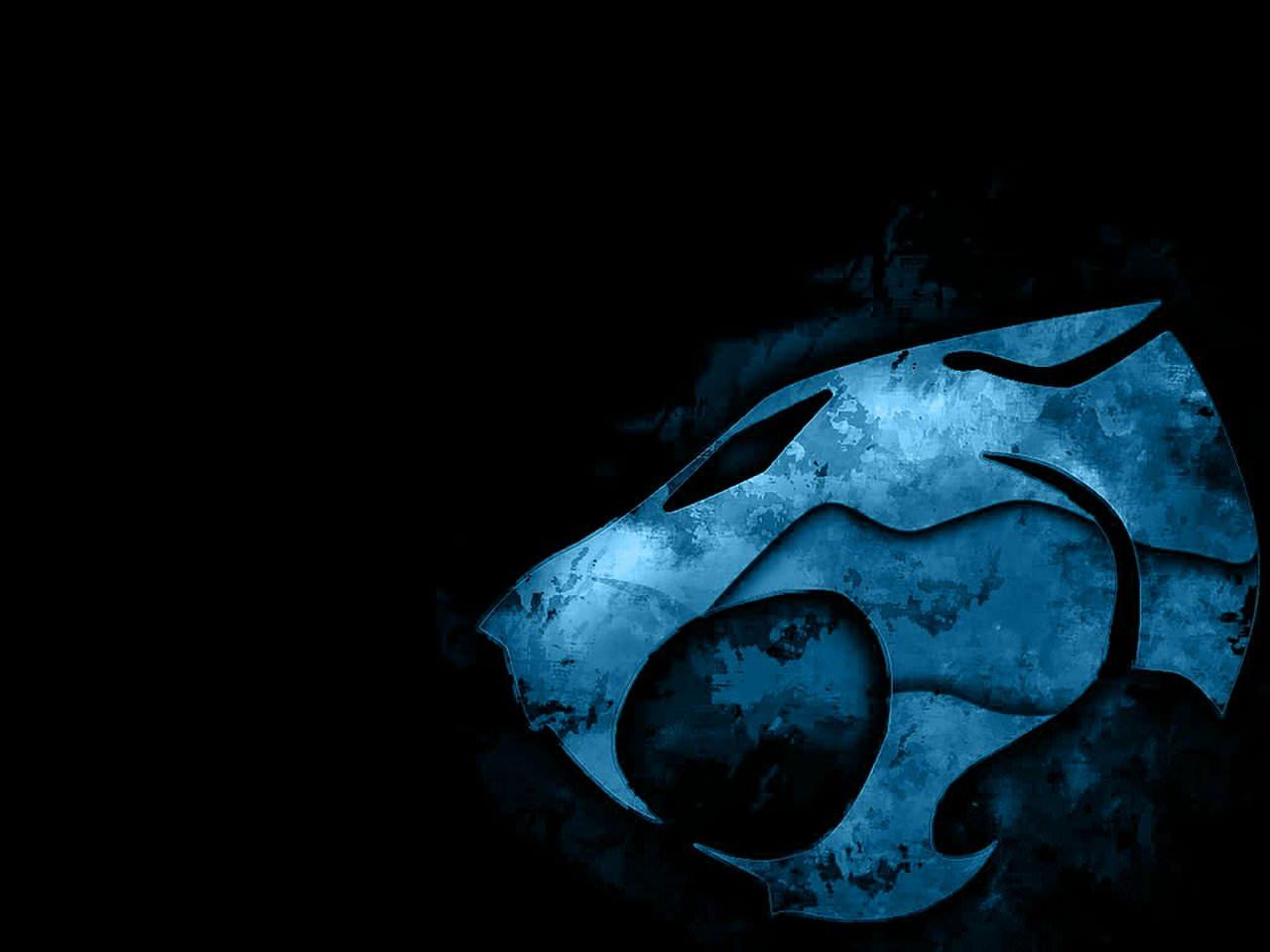 Awesome Thundercats free wallpaper for HD 1280x960 computer