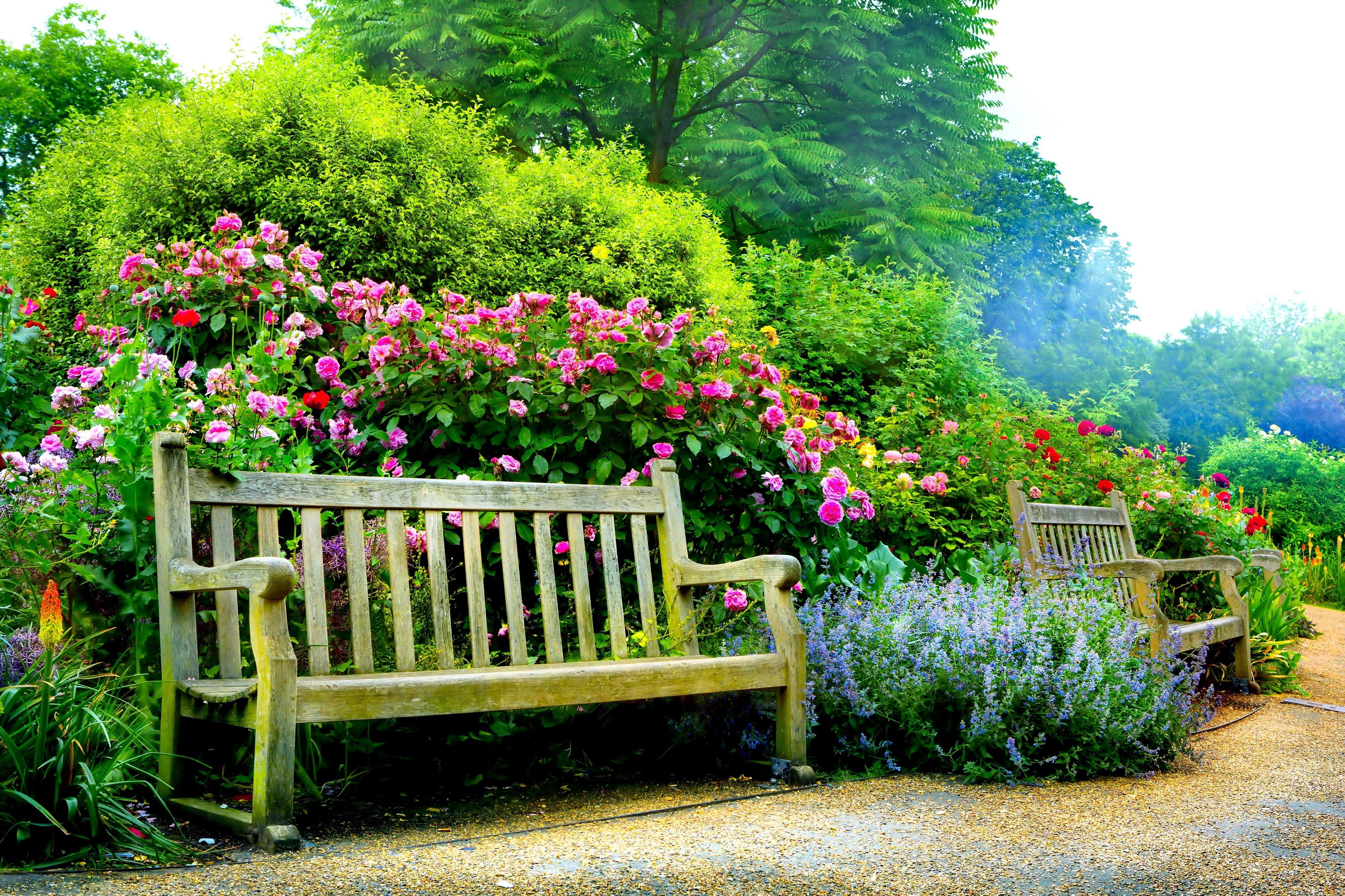Benches in Spring Park 4k Ultra HD Wallpaper. Background Image