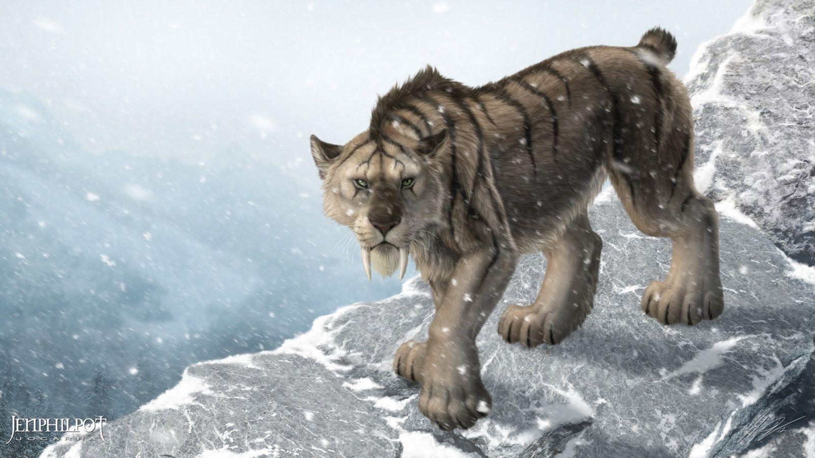 Saber Tooth Tiger Wallpapers.