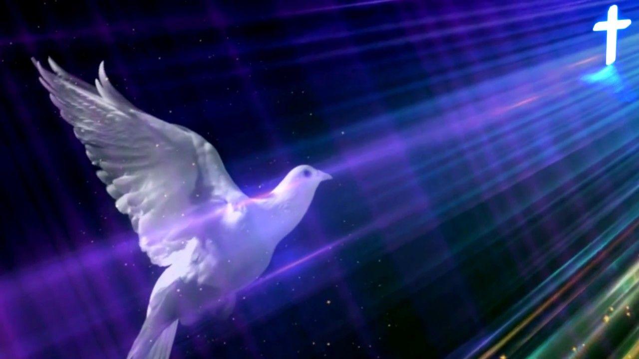 Holy Spirit in body form like a dove background loop 1080p