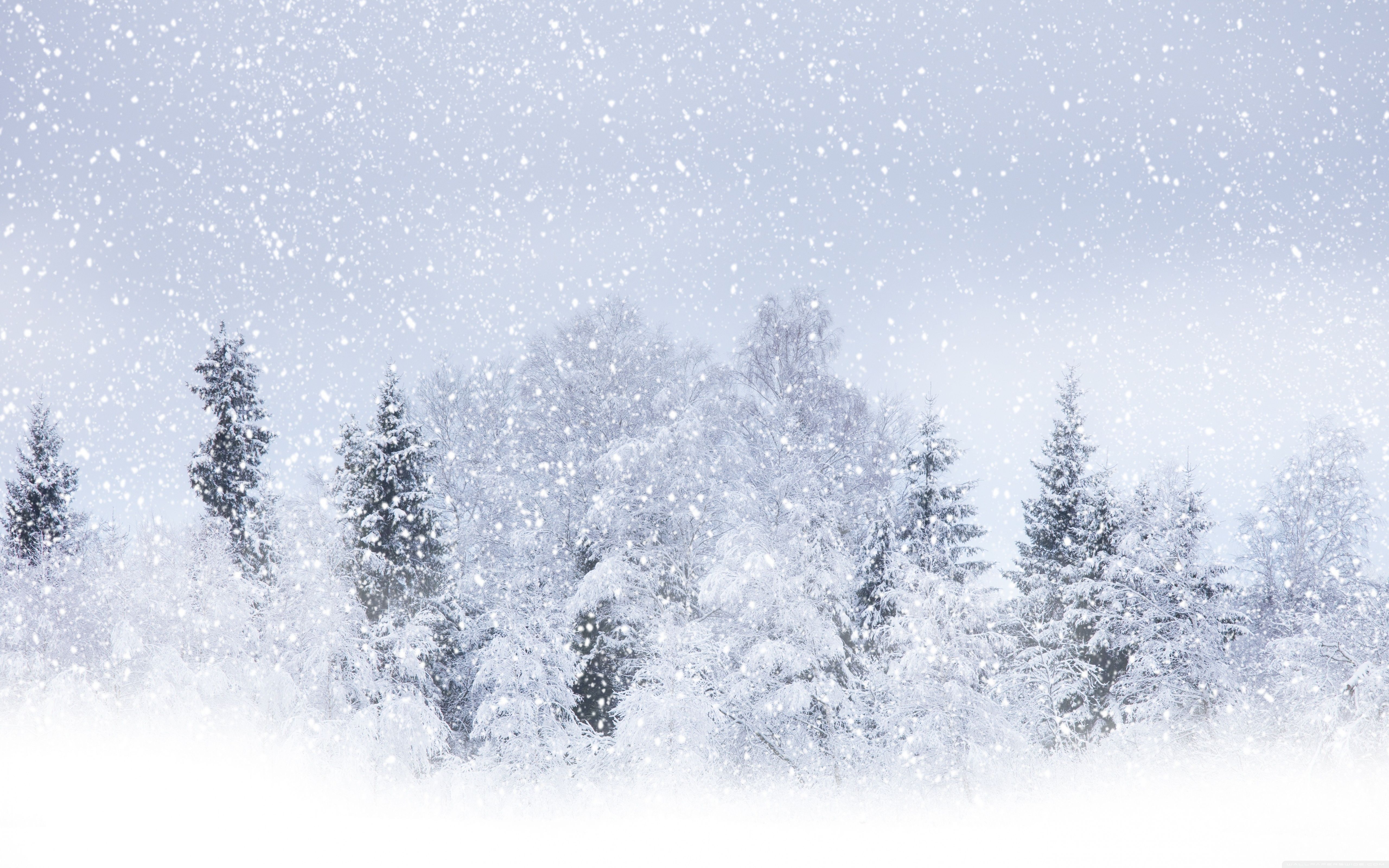 Winter Snow ❤ 4K HD Desktop Wallpapers for 4K Ultra HD TV • Dual