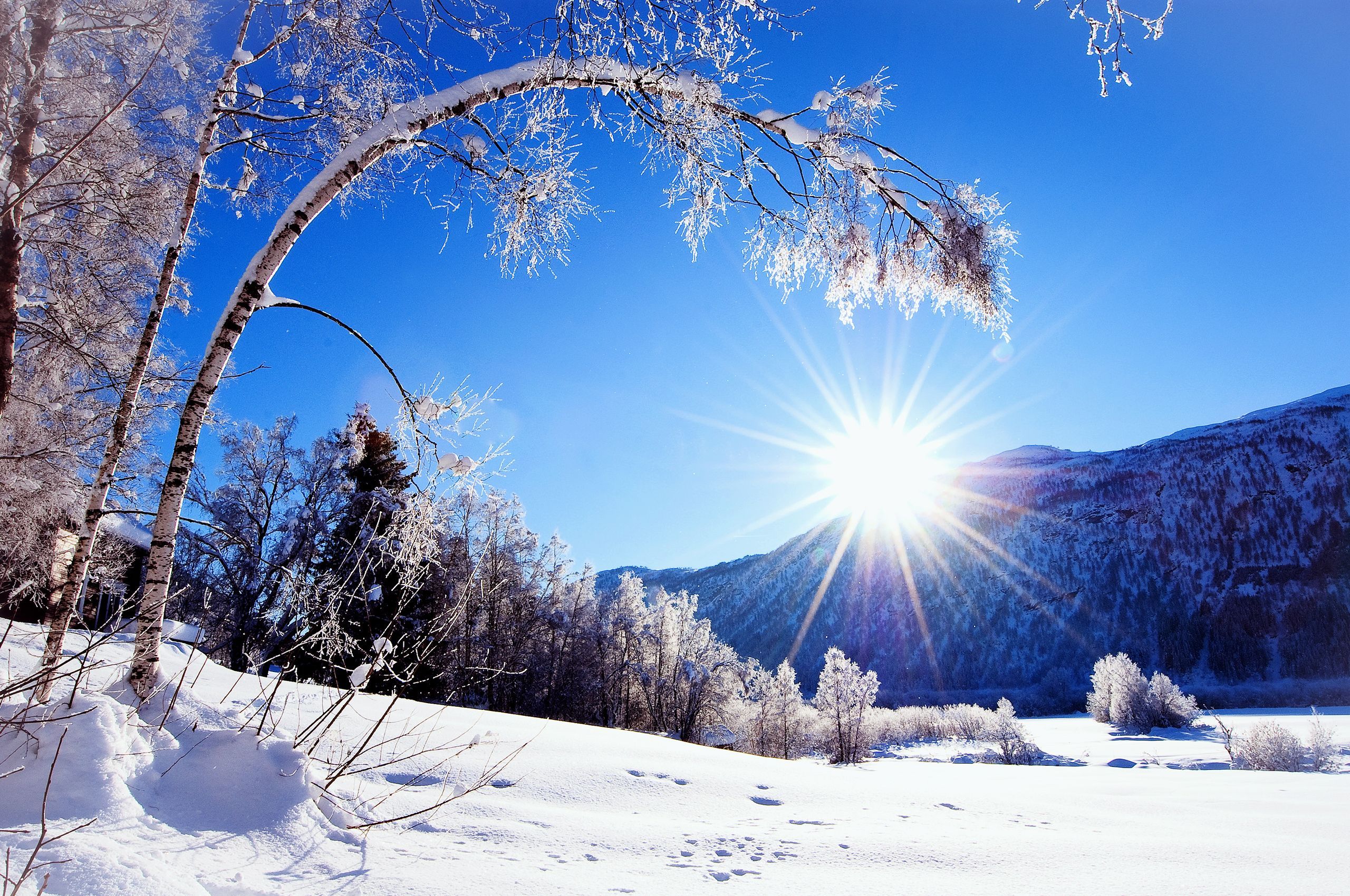 Winter Snow Wallpapers 2560x1700px