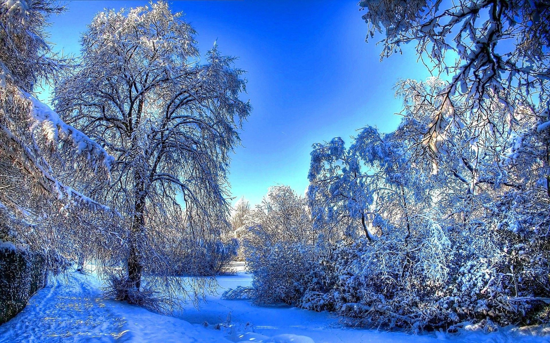 Winter Snow Landscape. Android wallpapers for free