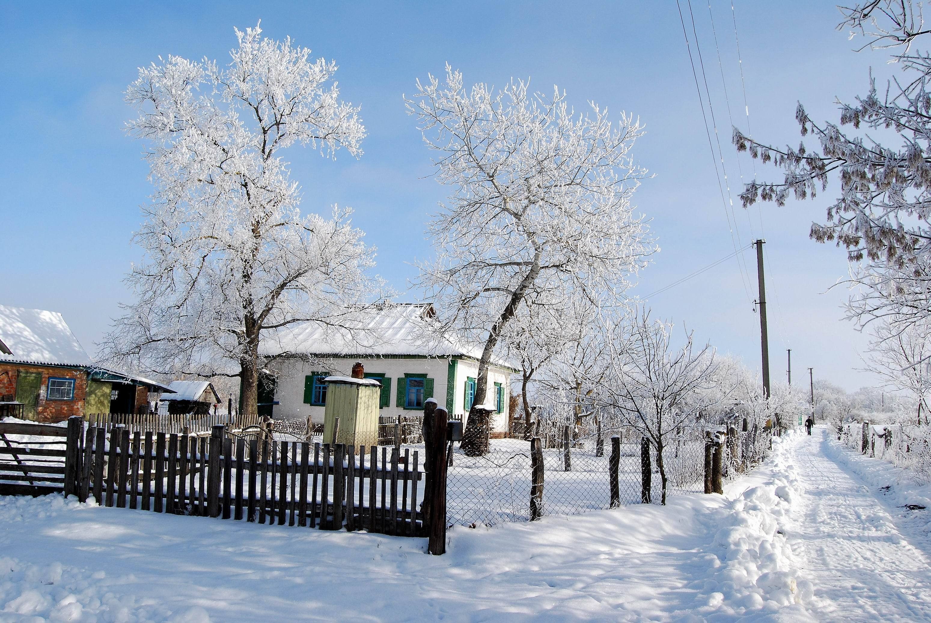 Winter: Winter White Forest Blue Evening Tree Snow Cabin House Snowy