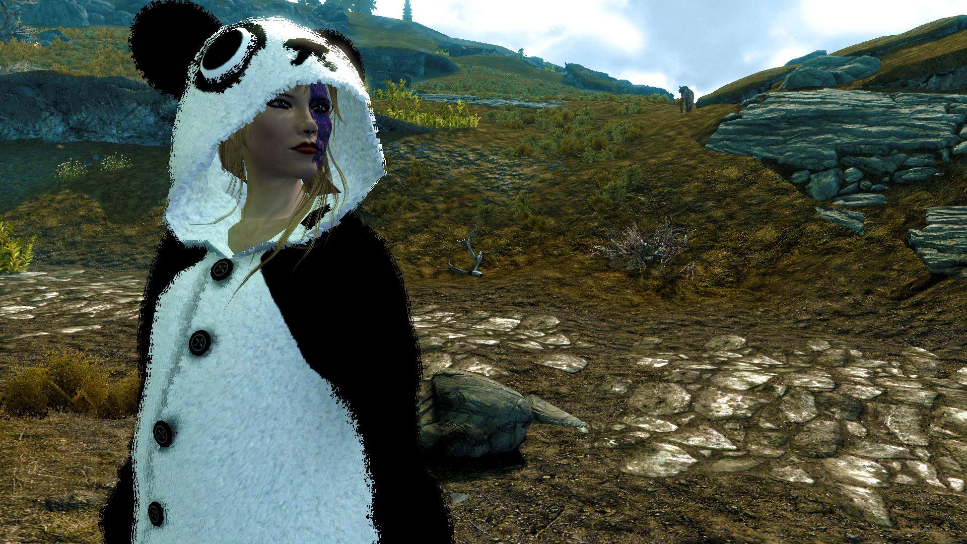 Skyrim Nexus and community