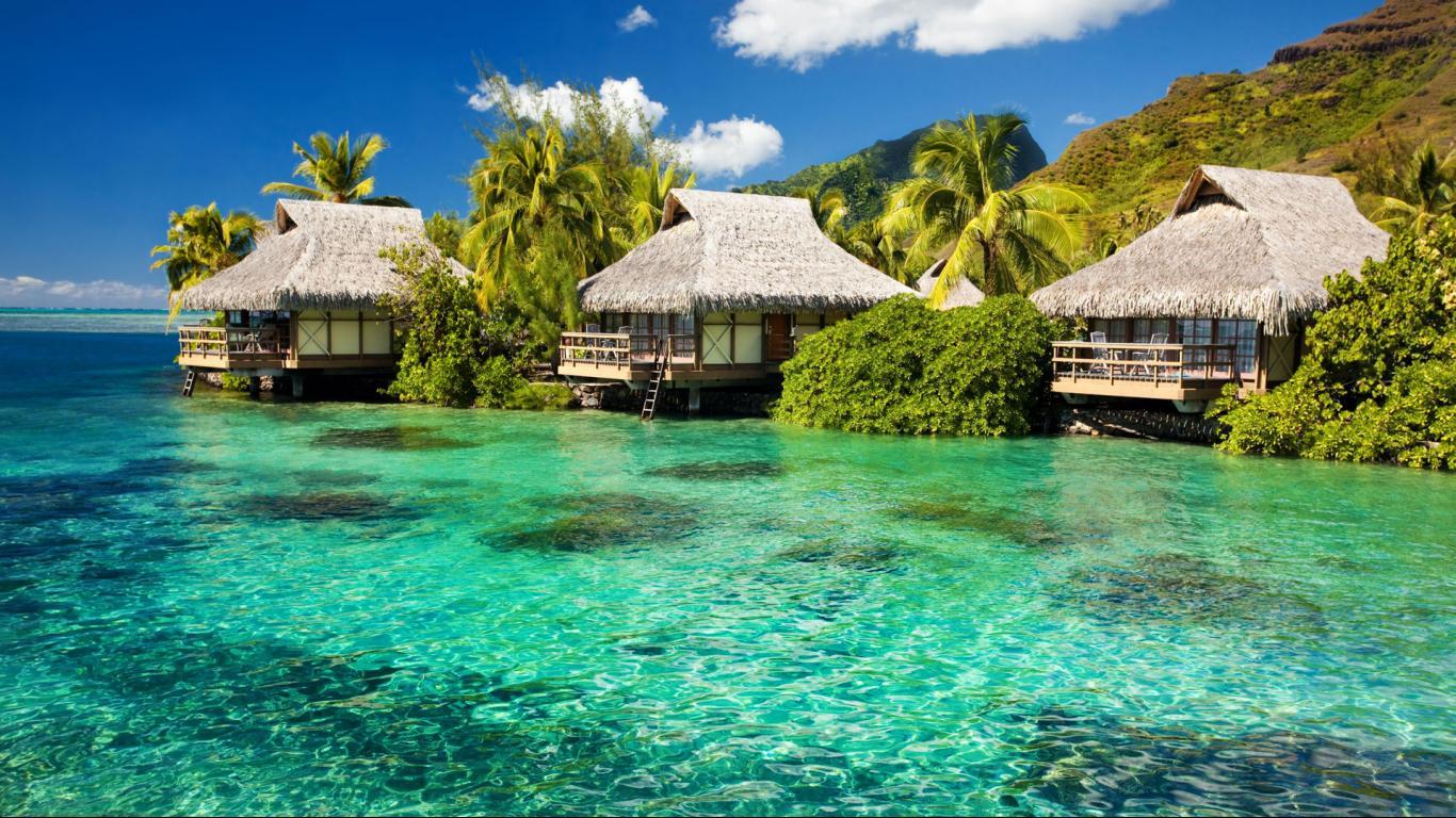 Hd Wallpaper For Deskx768 (Picture)