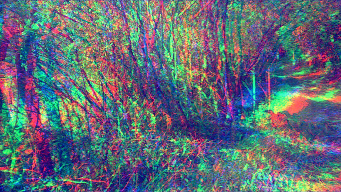 Trippy Forest