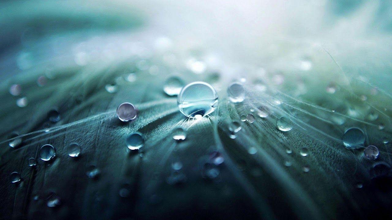 Relaxing Music for Meditation. Calm Background Music for Stress