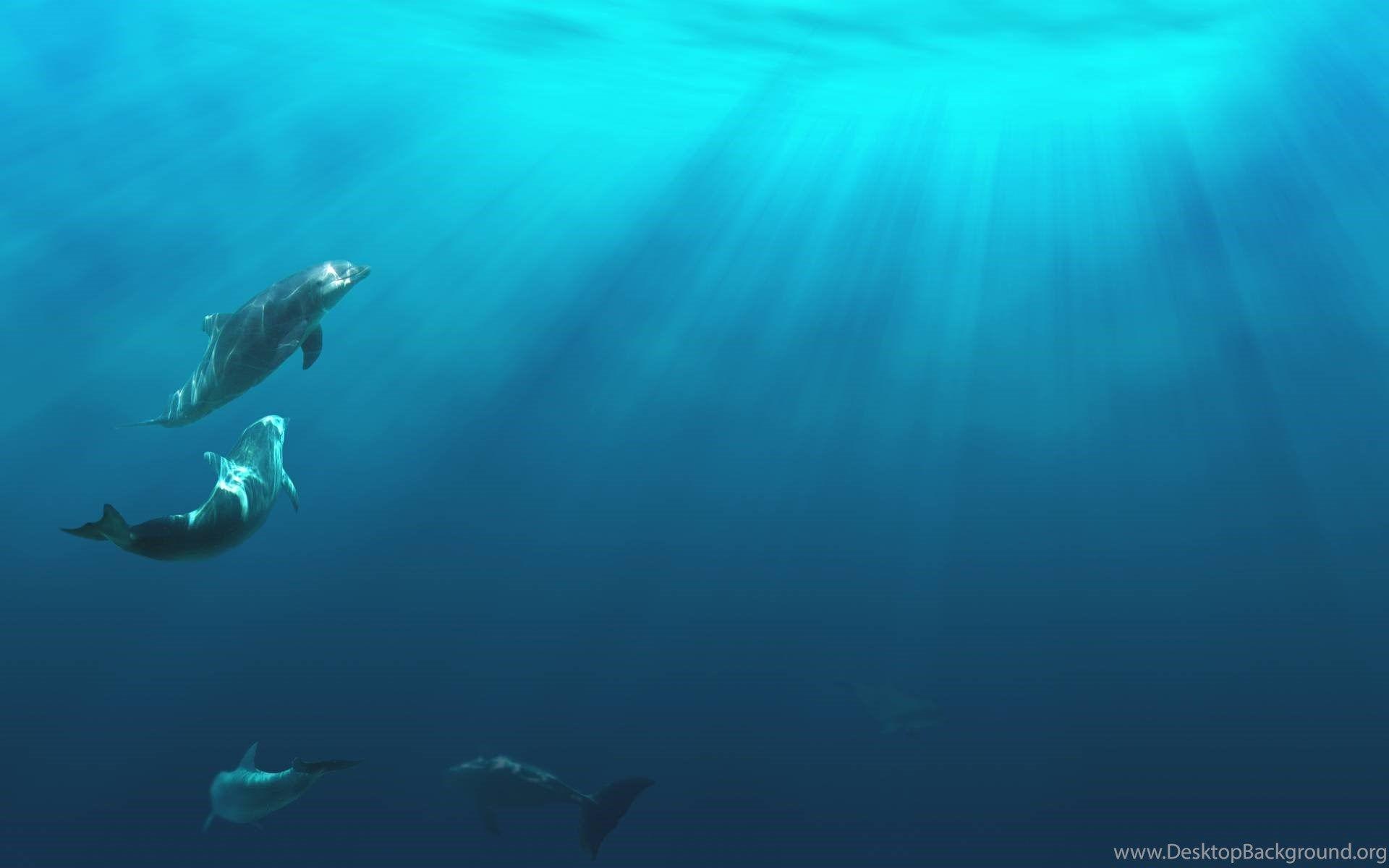 Calming Wallpaper Desktop Background