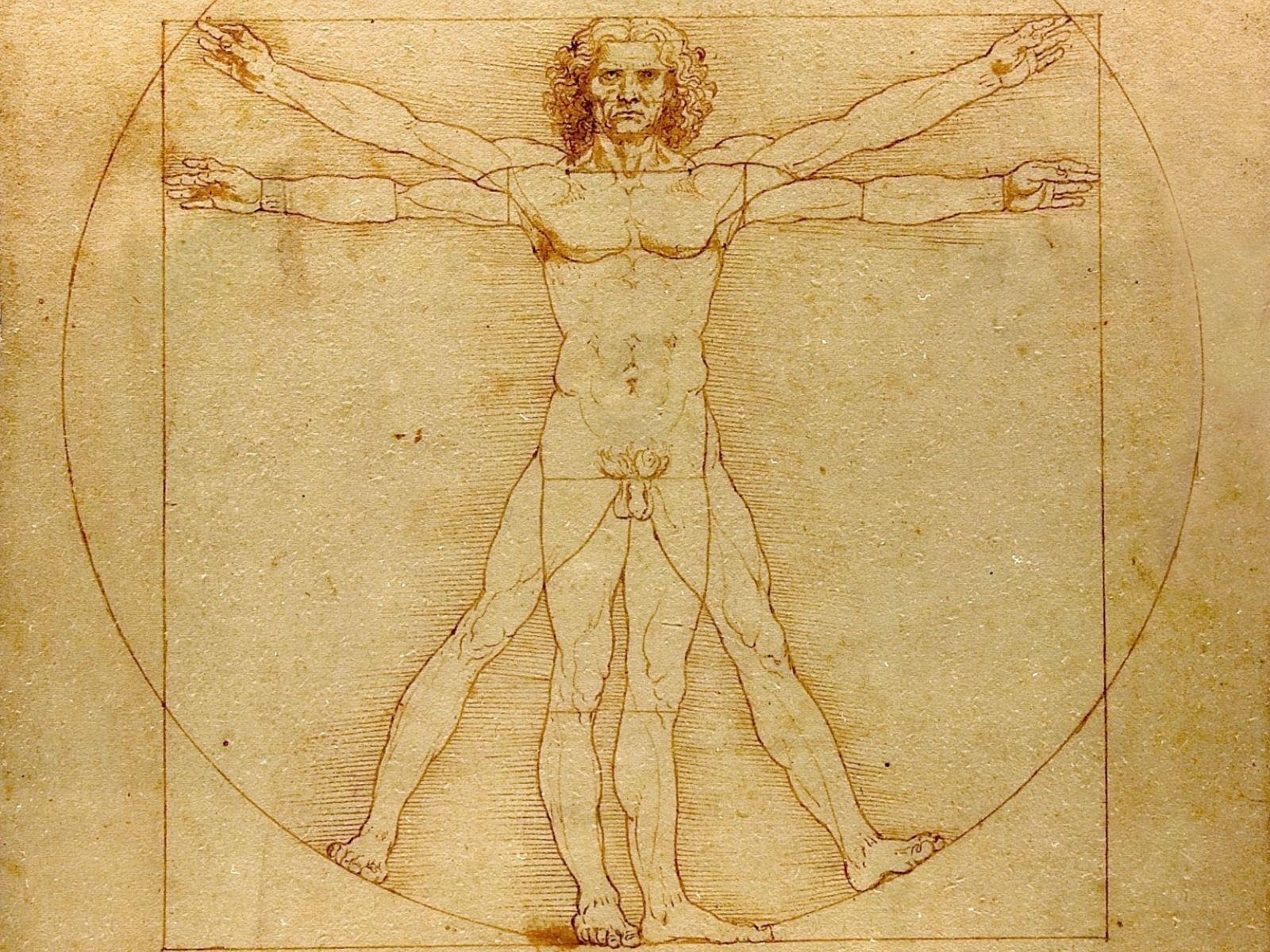 Vitruvian Man Leonardo Da Vinci Fresh New HD Wallpaper Your Popular
