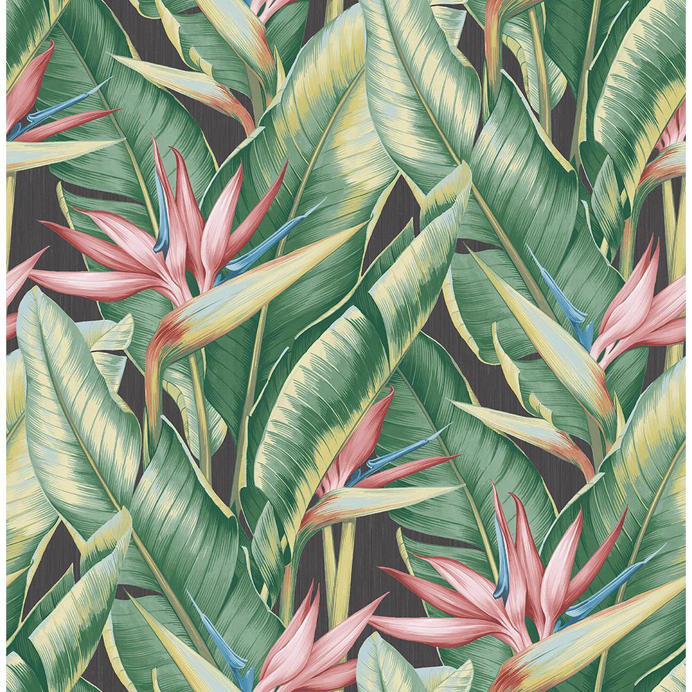 Kenneth James Arcadia Pink Banana Leaf Wallpaper PS40201 Home