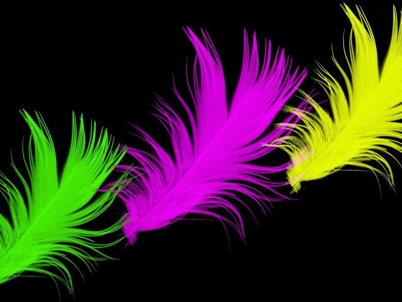 Pink And Lime Green Wallpaper. Feathers