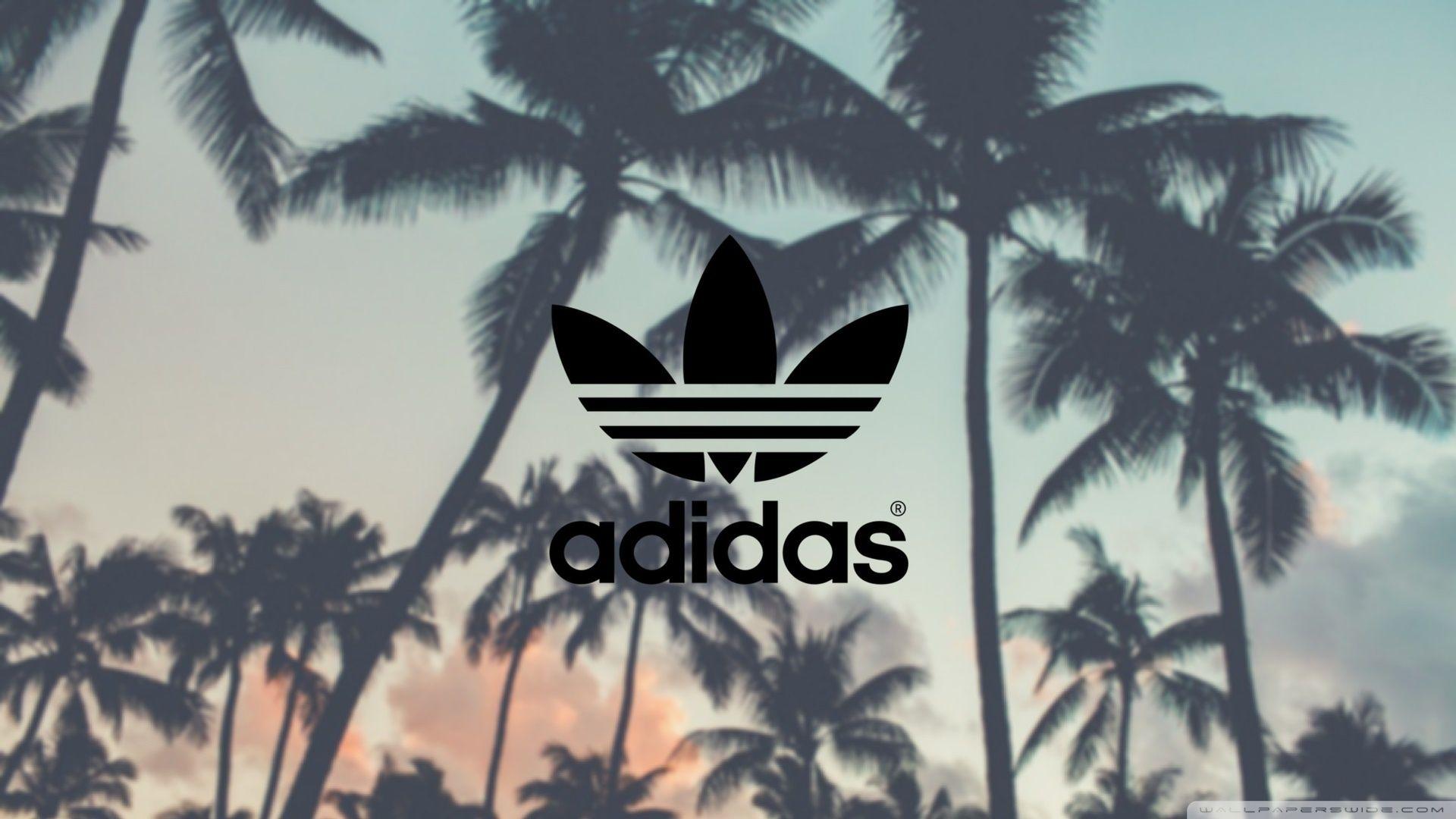 Adidas, Palm Trees Background Ultra HD Desktop Background