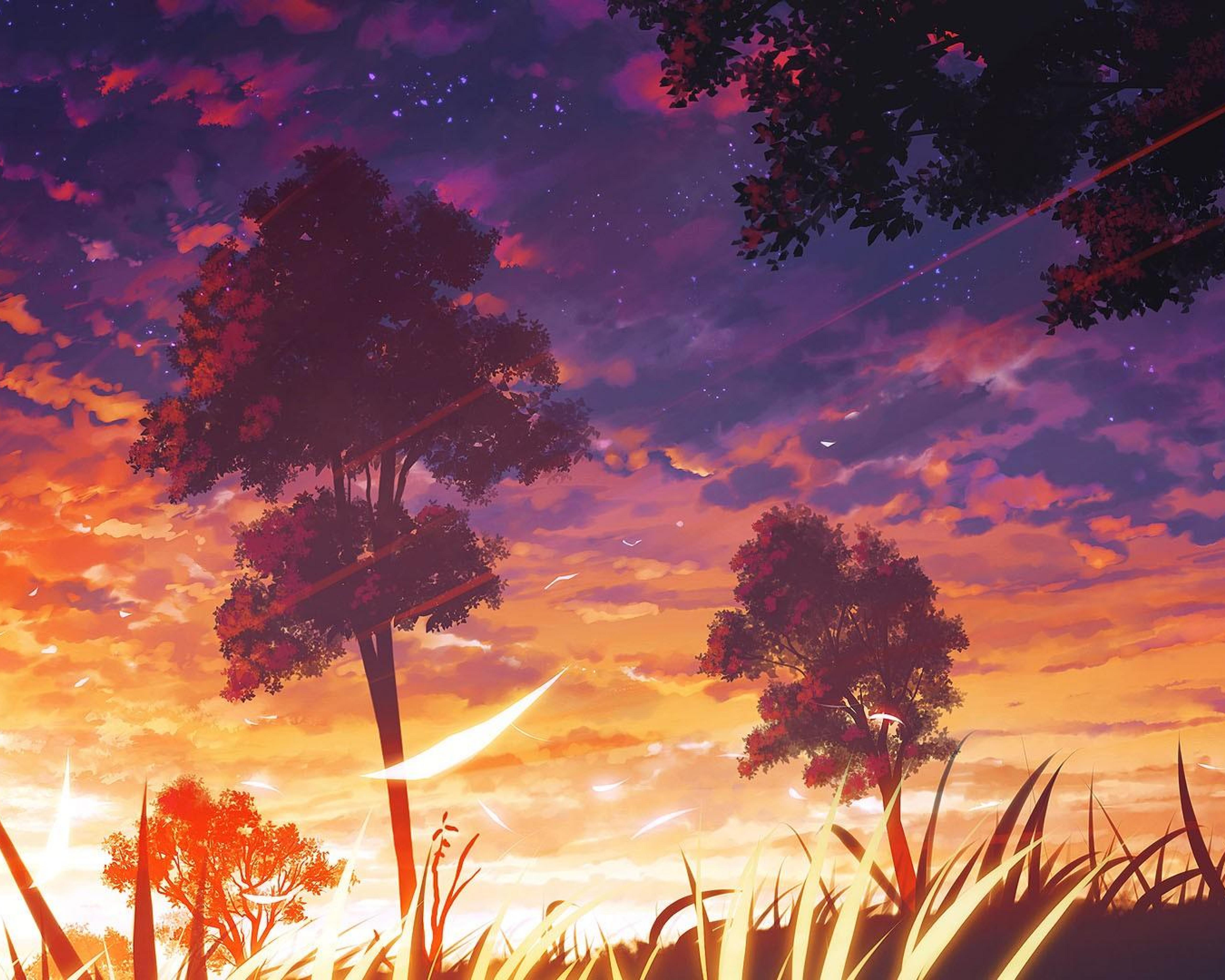 Anime Forest HD Wallpaper